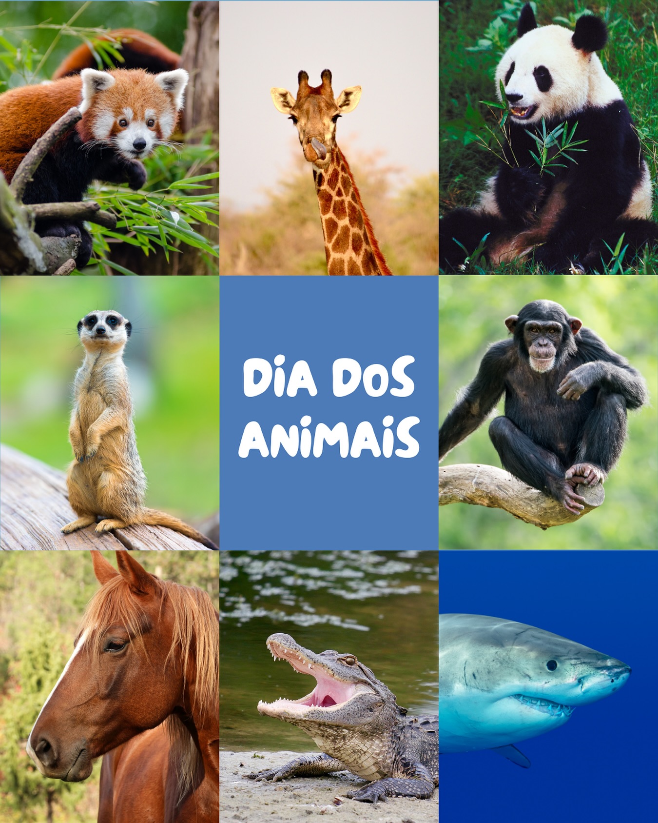 Hoje é um dia para honrar todos os seres que compartilham o mundo conosco – dos animais que vivem em nossos lares aos que habitam florestas, mares e céus. Cada espécie tem seu papel essencial no equilíbrio da natureza, e nossa responsabilidade é respeitá-los, protegê-los e garantir um futuro onde todos possam viver com dignidade.
Que esse dia nos lembre de que todos os animais merecem viver sem crueldade, sem exploração e com o direito de existir em paz. Seja protegendo espécies ameaçadas, combatendo o abandono ou promovendo o respeito à vida animal, cada atitude faz a diferença.
📍 A Terra não é apenas nossa – é um lar compartilhado. Que possamos cuidar dele e de todos
que vivem aqui. 🐾💙
#Petplace #DiaDosAnimais #RespeitoÀVida #ProtejaOsAnimais #Equilíbrio
