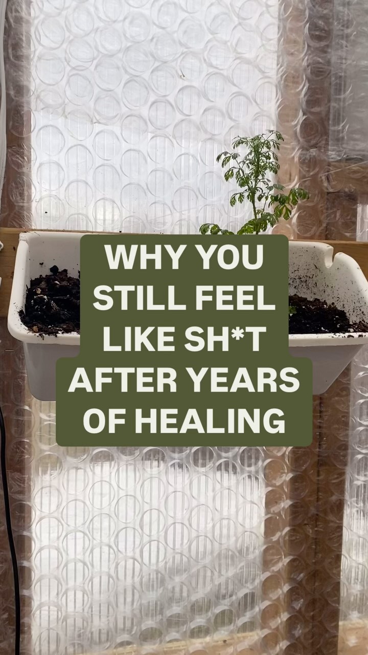? What if the reason you still feel off isn’t because you haven’t “healed enough” but because your body is still running a survival program you haven’t resolved?
You’ve done everything:
✔️ You’ve processed the emotions.
✔️ You’ve “released” the trauma.
✔️ You’ve changed your mindset.
✔️ You’ve tried the detoxes, supplements, and protocols.
? So why do the same symptoms, patterns, and emotional triggers STILL show up?
Because awareness isn’t enough.
Because your body has to release what your mind can’t.
? You’re not broken.
? You’re not stuck.
? Your body isn’t “failing” you.
It’s protecting you—by holding onto something unresolved.
? What I do isn’t therapy. It’s not mindset work. It’s not another restrictive protocol.
⚡ This is deep, biological, and subconscious recalibration.
⚡ We don’t “manage” symptoms—we resolve what’s still running in the background.
? DM me “READY” if you’re done looping and ready for a real shift.
#traumahealing #subconscioushealing #bodykeepsscore #emotionalhealing #biologicalhealing #quantumhealing #nervoussystemregulation #innerwork #somatichealing #rootcausehealing #mindbodyconnection #spiritualawakening #energetichealing #alternativehealing #traumarelease #healingjourney #energywork #quantumfield #deephealing #selfhealers #holistichealth #mindbodyspirit #shadowwork #emotionalrelease #healingmodality #holisticliving #repressedemotions #frequencyhealing
#traumahealing #subconscioushealing #bodykeepsscore #emotionalhealing #biologicalhealing #quantumhealing #nervoussystemregulation #innerwork #somatichealing #rootcausehealin