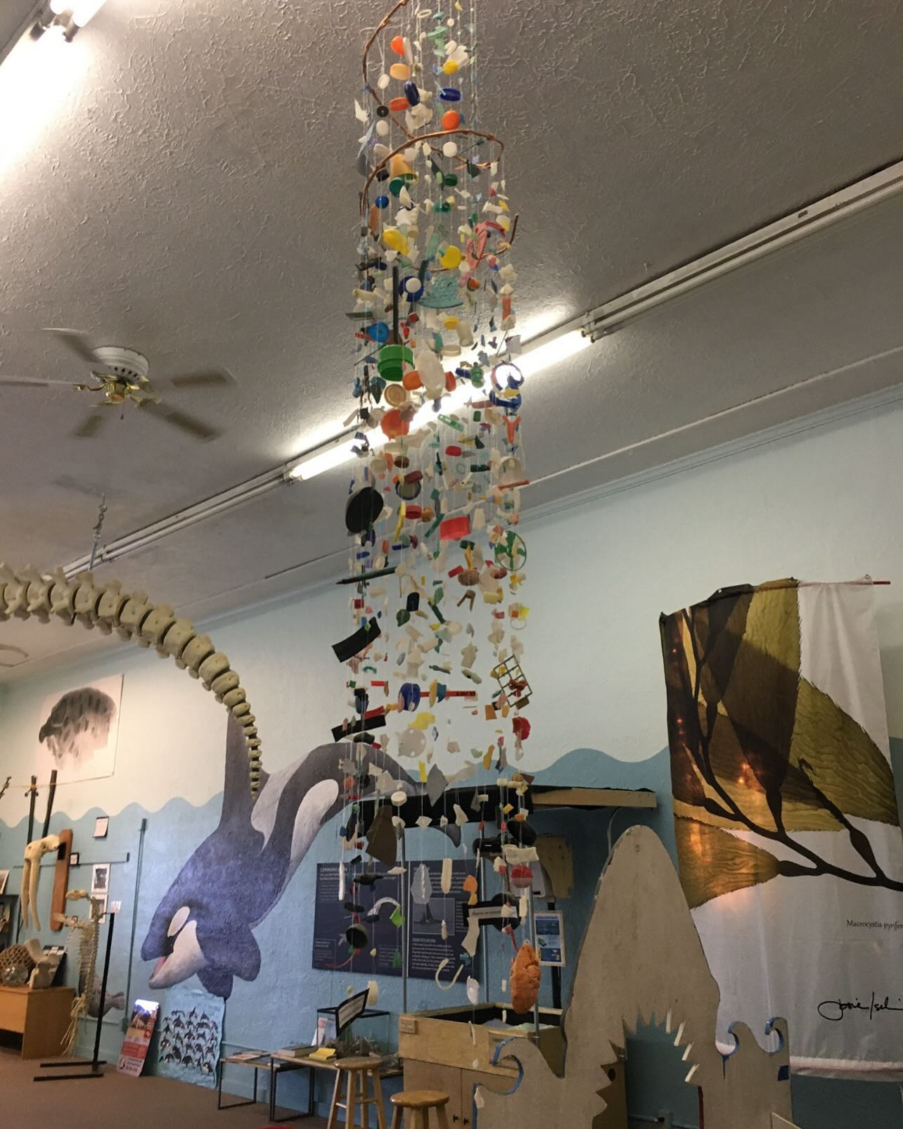 Creativity meets sustainability in Mobile Art! This hands-on CSR activity blends environmental responsibility with teamwork and innovation.
Phase 1: Cleanup
Teams head to a beach or park to collect plastic waste, bottle caps, fishing lines, and other discarded materials.
Phase 2: Creation
Armed with paint, glue, wire, and tools, teams transform collected trash into creative mobiles—symbols of creativity and commitment.
Phase 3: Impact
Each mobile is displayed in the office, serving as a lasting reminder of the team’s dedication to sustainability and collaboration.
This team building experience combines collaboration with our company mission to make the world a greener place!
#teambuilding #corporategames #mobileart