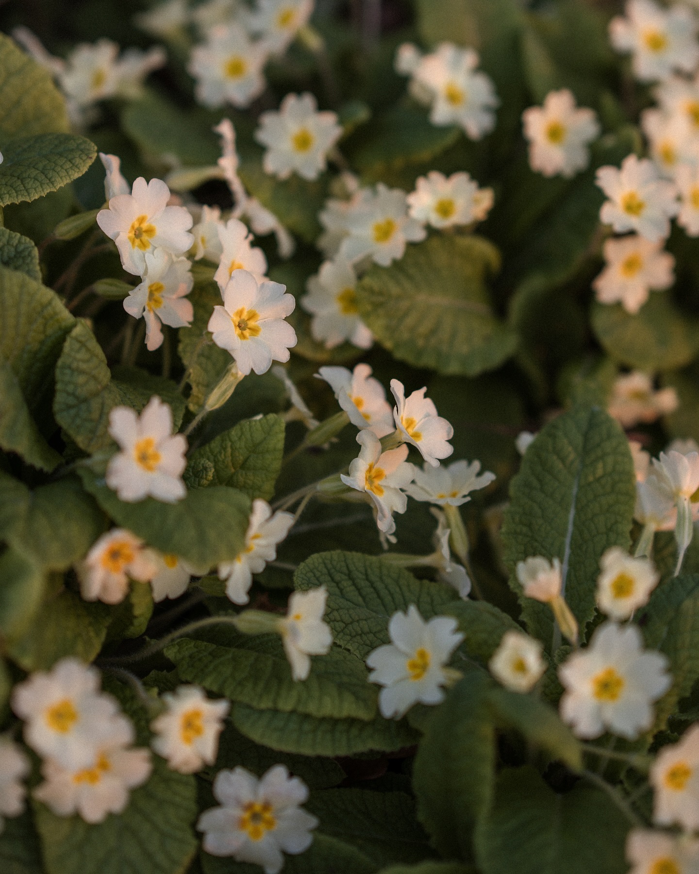 Oh this light is giving me life 🌞