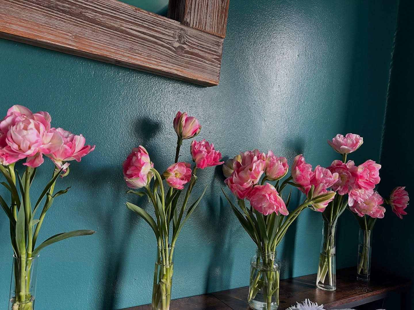 Finola tulips…creamy with a touch of pink when harvested- transforming to this brilliant pink overnight in the vase!
#sf #sanfrancisco #tulipseason #ecoeventplanners #sanfran #sfflowers #noevalley #noevalleyflowers #urbanflowerfarm #tulip #finola