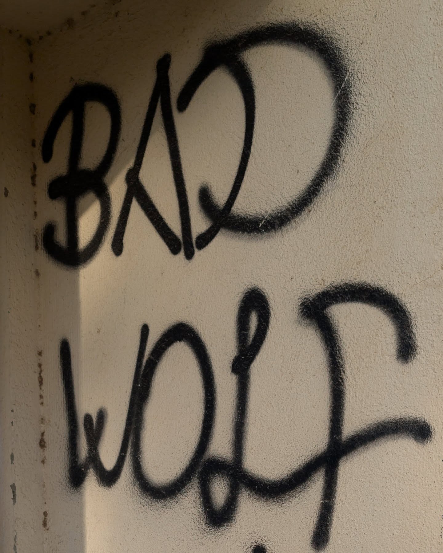 When I first looked at the flat where we're currently living in Málaga, my kids and I walked around the neighborhood and across from where we initially stood were the words, "Bad Wolf" spray painted on a wall.
This may seem insignificant to most, but to me, it almost felt like a "sign." As a huge Doctor Who fan, the words glared at me, almost pulling me in, embracing me.
You see, one thing I've really been missing is joyful writing, words that tell stories, connect people to each other, the land, the world. I value research, but creating worlds and characters fill my heart and fulfill me. I wrote about this in my blog post, too: https://www.perpetual-wanderlust.com/post/what-we-should-do
So, Bad Wolf says, "I am the Bad Wolf. I create myself. I take the words. I scatter them, in time and space."
We ended up getting the flat and have been so fortunate to be here. I sit and think about this wonderful experience I have had, with two months remaining, heartbroken it's only that long but incredibly grateful for the time. Meanwhile, I am reminded I need to continue writing, sharing my words "... in time and space."
I know I need to keep writing, depicting stories and emotions of adventure, love, imagination, and the possibilities of what could be. And whether Bad Wolf, or the other moments, are merely coincidental or actually are signs, I, and we, may never know, but I can at least remember that I, in the words of Bad Wolf, "...create myself..."
#doctorwho #doctorwhofan #signs #serendipity #synchronicities #writing #writer #writerlife #writersofinstagram #spain #malaga #writingcommunity