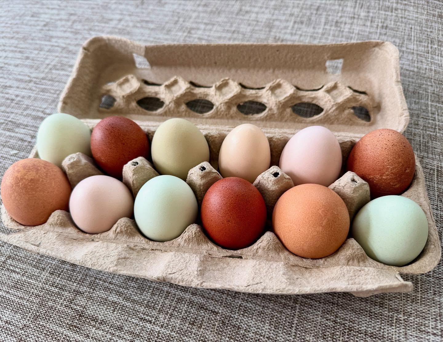We are expanding our chicken offerings and are now selling farm fresh eggs! 🥚
💲$5/dozen
🐓 Pasture raised and free range
Send us a message to join the group we notify when eggs are available!