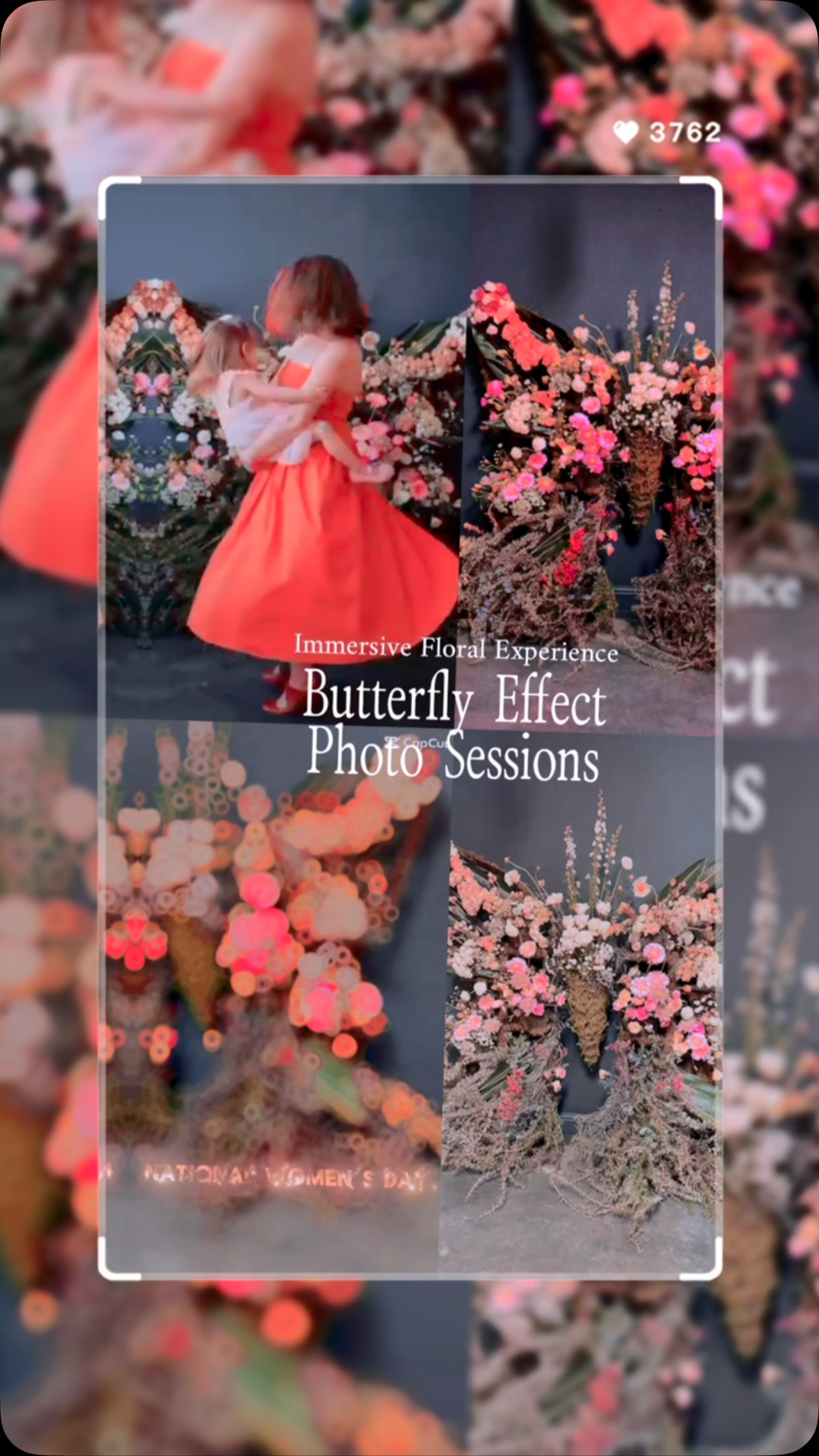 Butterfly Effect Immersive Floral Photography Sessions coming May 3 and 4 with @juniperspringphotography
This spring I am inspired by metamorphosis- the cracking of a shell to open- the promise of rebirth fulfilled. Join us in this celebration of Spring with Madame Butterfly 🦋 our fresh floral butterfly installation made specifically for this amazing collaboration.
Booking and event details in bio
#sanfrancisco #ecoeventplanners #sf #sanfranciscofarmexchange #sanfranciscoworld #urbangarden #sanfranciscobay #farmerflorist #butterfly #metamorphosis #spring #floral #photography #floralphotography #boudoir #familyphotoshoot #mommyandmephotoshoot #mothersday #sfgrownflowers #flowers #