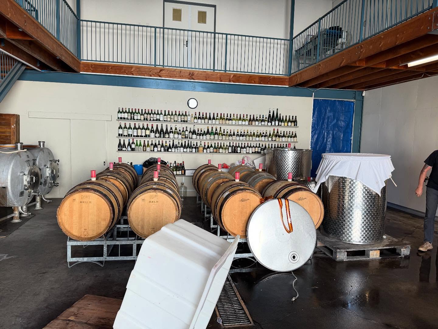 Field research! Visited a number of cellars in New Zealand to learn about use of organics, composting and cows in the vineyard from @tewharerawinesnz and Felton Road. Farming approaches to Sauvignon Blanc *hint hint*. Some alternate Syrah and dry farming at @frommwinery and nice back vintages at @te_motu_waiheke