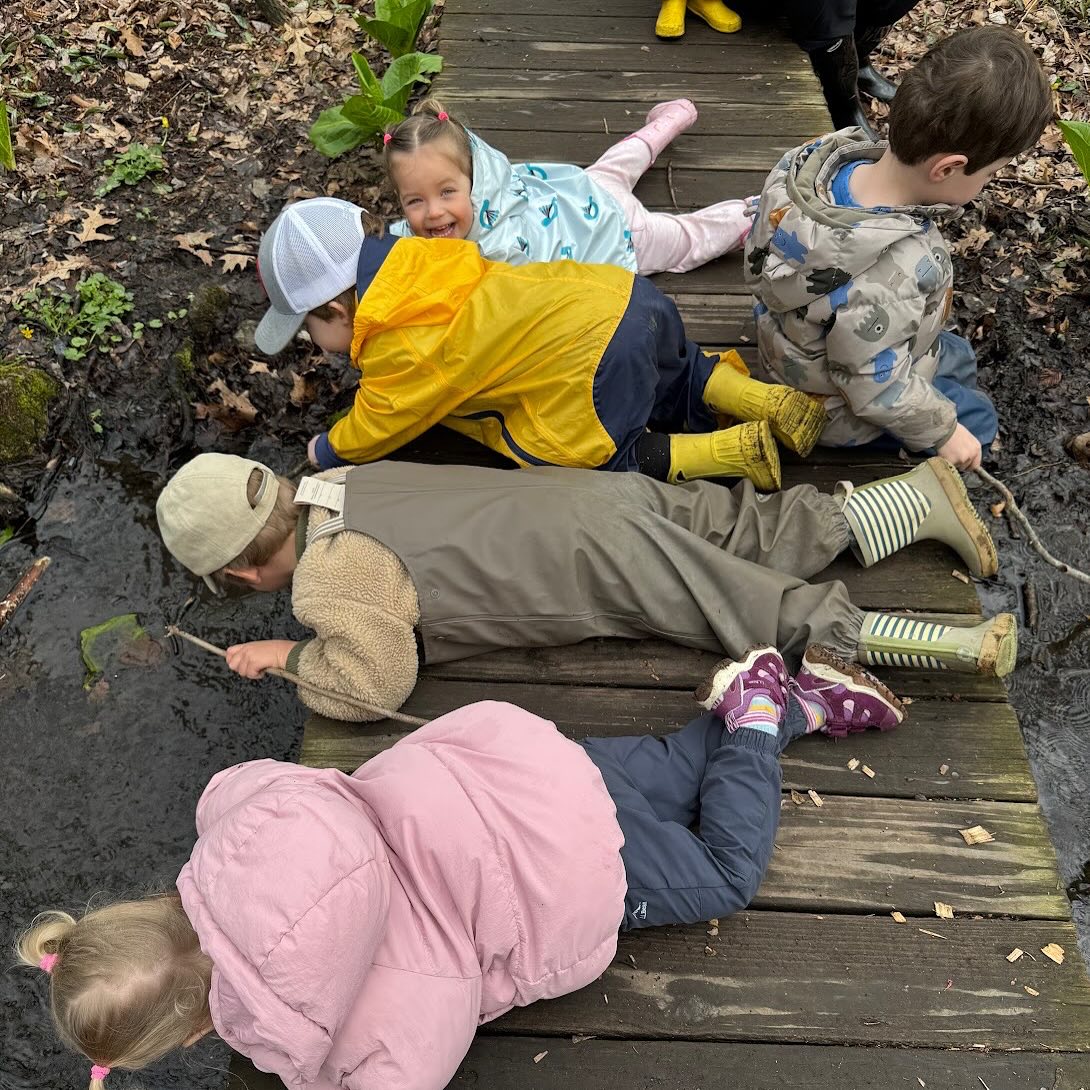 Bees, bugs, turtles, and butterflies oh my! ????Crickets Camp might have been the best way to spend April break! #darienct #dariennaturecenter #springtime #natureschool