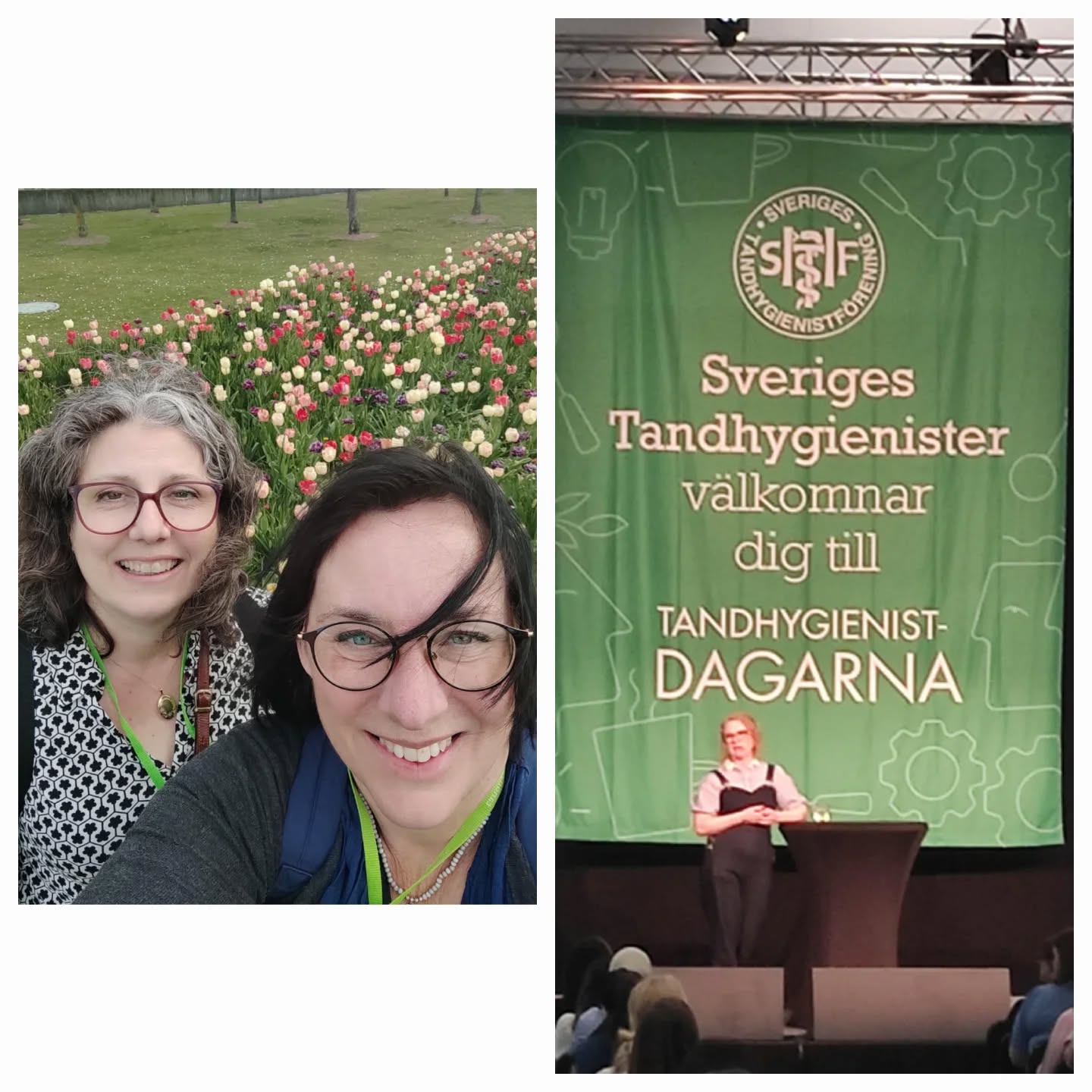 Måndag och Tisdag denna vecka är våra hygienister på Tandhygienist dagarna i Malmö. Och uppdaterar sina kunskaper i paradontit, karies och erosioner.