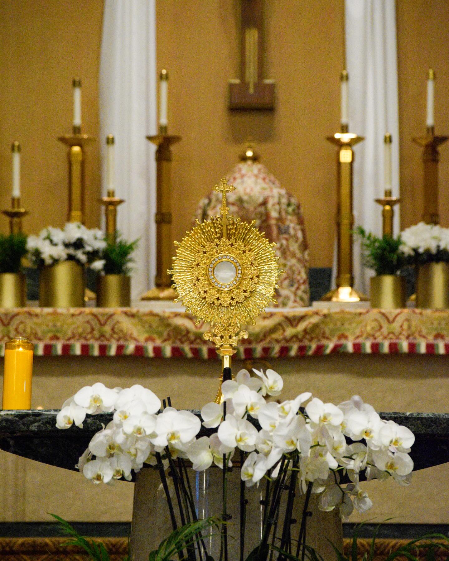 You are warmly invited to partake in Eucharistic Adoration today from 11 AM to 7 PM.
Whether you can join us for five minutes, ten minutes, or even an hour.
The Lord eagerly awaits your visit!!