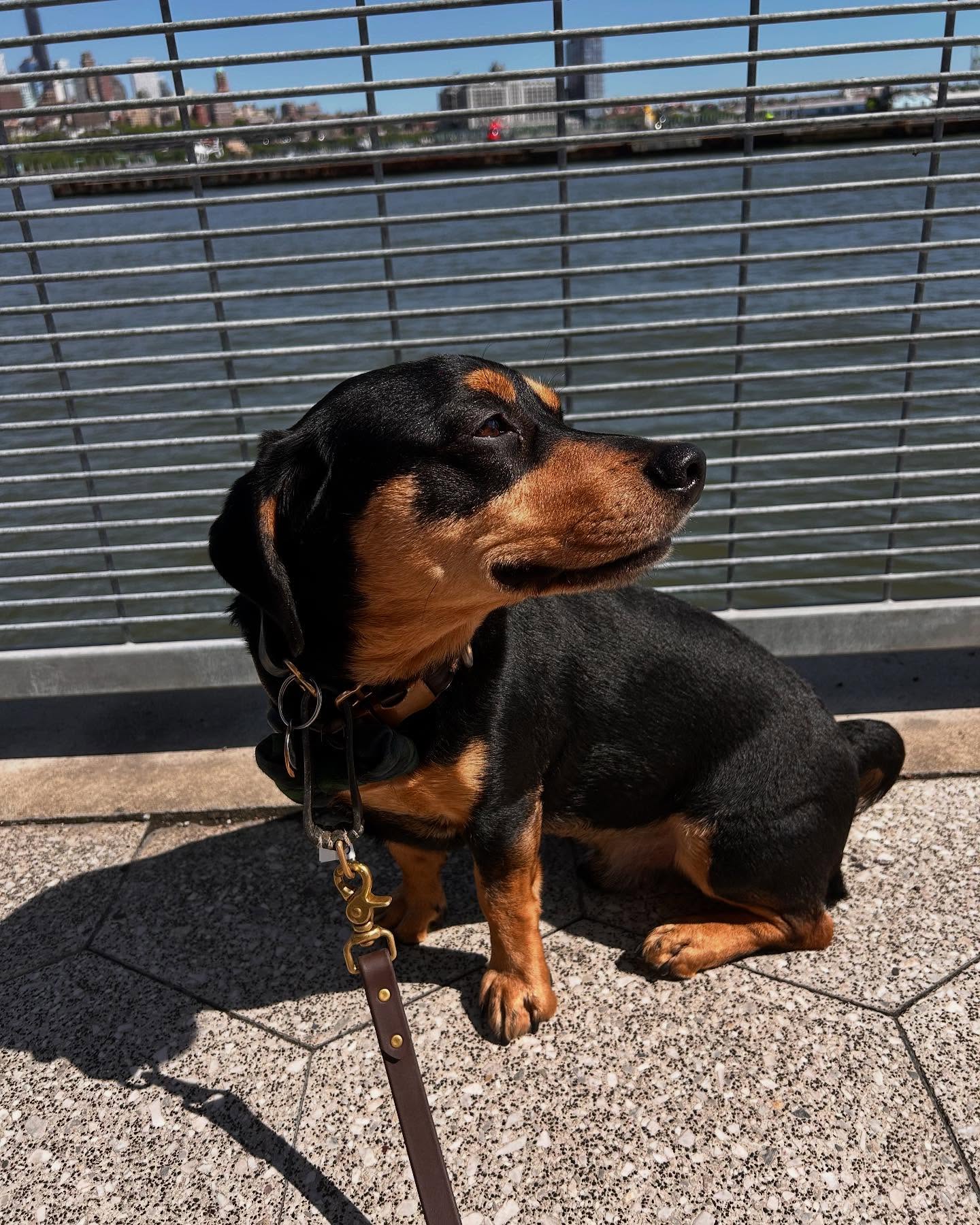 that sunbathing feeling ๐