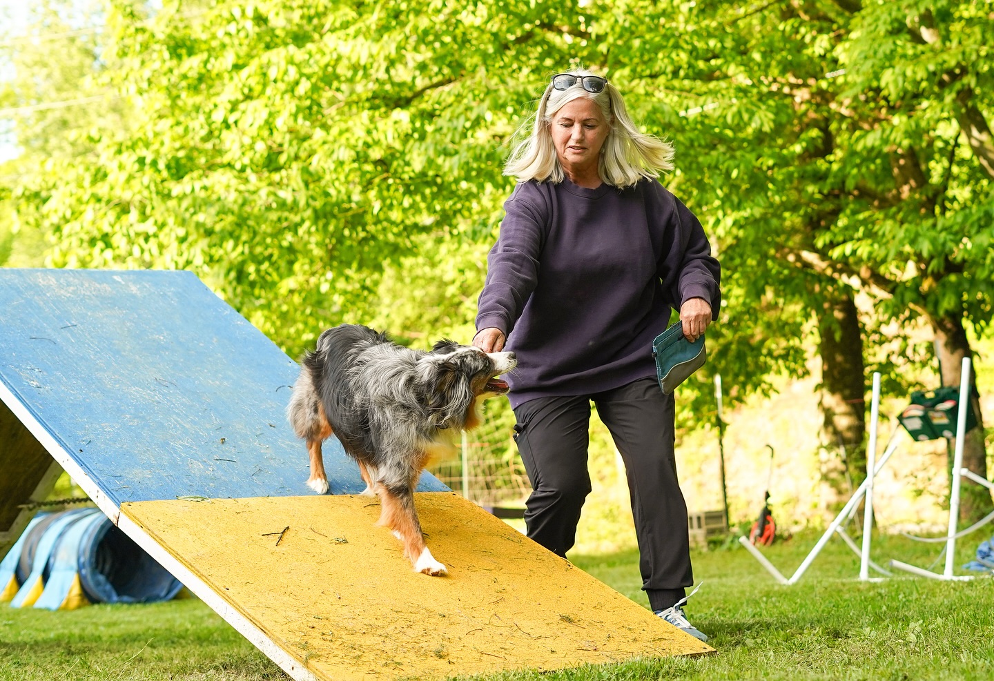 Fred, Jake, and Valkyrie had a blast at last night’s agility & lure course try it sessions! 🐾
#dogtraining #agilitydog #lurecoursing #workingdogs #bluemerleaussie #germanshepherd #brindlepitbull #pitbullsofinstagram #aussiesofinstagram #gsdlife #dogsporttraining #calk9s #gallatintn #nashvilledogs #dogtrainerlife #balanceddogtraining #dogadventures #activepetdogs #dogsthatdo #canineenrichment #dogtrainingfun #dogtrainingtips #tryitsession #agilitytraining #lurecoursingfun #obediencetraining #dogswithjobs #tennesseedogtrainer #dogsofinstagram #sportdogs