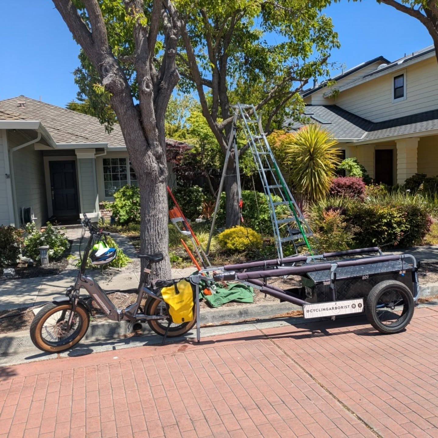 Great pruning weather in the bay! #bicycletrailer #cyclingarborist #biketrailer #treepruning #sfbay #alameda #theisland #bayfarmisland