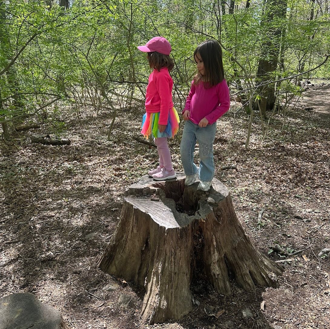 Big fans of climbing over here! ???#darienct #dariennaturecenter #treeclimbing