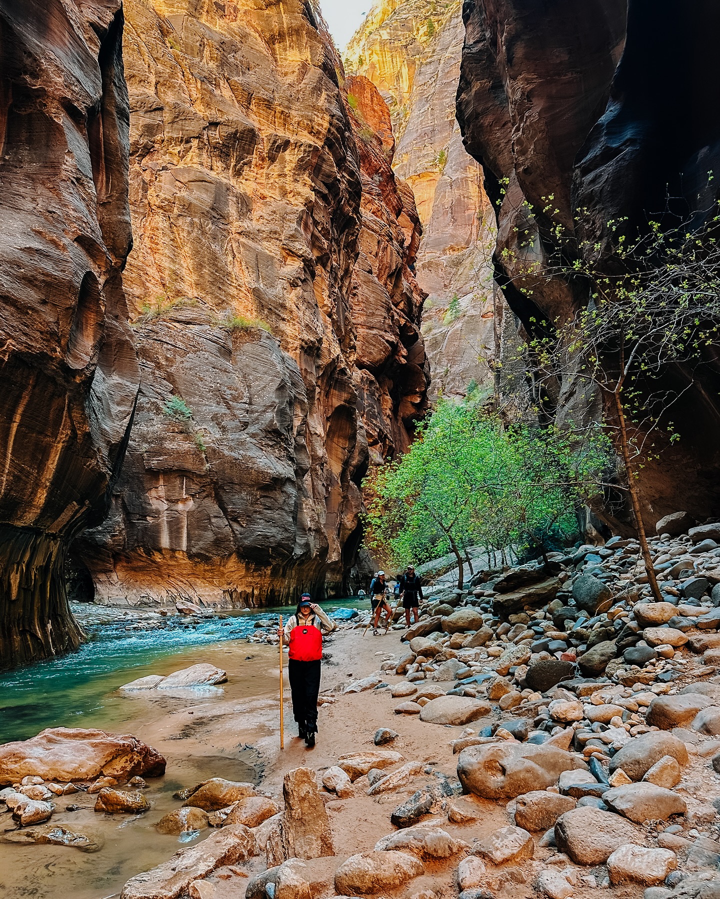 Hands down my favorite hike during our Utah trip was The Narrows in Zion National Park!
This kind of hike was one I hadn’t done before. First, the canyon view was stunning! A little eerie too, just because you realize there’s only the way forward or backward. In some portions, my husband and I could outstretch our arms to be the distance between the walls. So cool!
Second, this hike not only required strength and endurance but also a lot of balance due to the rocks underfoot. You don’t typically have to focus on balance on most trails. At the same time, somehow it was easier than I thought for my feet to find a somewhat sturdy place to land.
Thirdly, it wasn’t warm enough for us to wear our regular clothes, so we had to grab special waders/suits/boots. That only added to the feeling of how special this adventure was.
Next time I go, I can’t wait to do The Subway!
••••••••••
#thenarrows #zionnationalpark #zion #nationalparks #whereyouwander #hiking #hikingtrail #hikingviews #viewoftheday #utah #visitutah #travel #travelmore #travelgram #travelgirl #travelblogger #epichike #trails #riverwalk #river