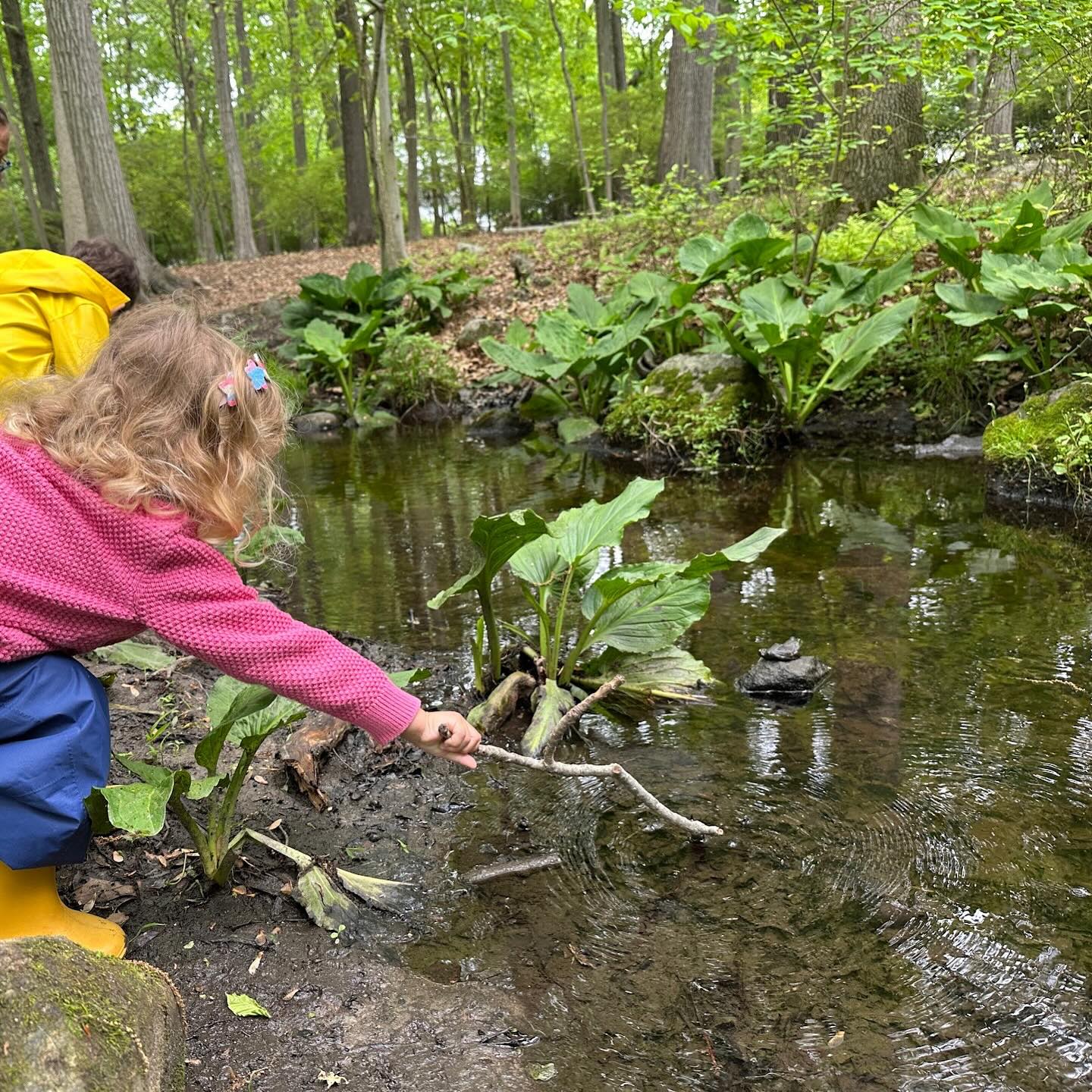 If April showers bring May flowers… Do May showers bring the best puddles of the year? ☔️??️ #darienct #dariennaturecenter #mayshowers
