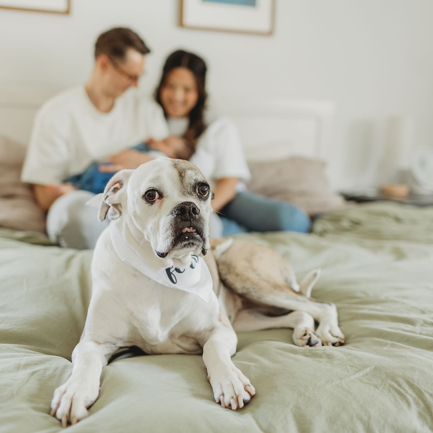 I can’t say this enough, enjoy this stage of life. It goes by so fast, and you don’t really realize it until you stop and truly take in the moment. Sometimes I catch myself rewatching old videos of my kids, just laughing and crying all over again. Those little moments? They’re everything.
Life gets so busy and we’re always running around, checking things off the list, trying to stay on top of everything. But honestly? That stuff doesn’t matter as much as we think it does.
What really matters is being present. Being there with your family. Making memories. Because that’s what sticks. That’s what they’ll carry with them.
So don’t forget to slow down and soak it all in. These are the moments you’ll want to hold onto..
Booking throughout 2025
Limited availability
www.tinyheartsphotography.com
#njphotography
#njnewbornphotographer #njnewbornphotography
#njmom
#njfamily
#bestinbergen
#newbornphotographyreels
#njbabyphotographer
#bergencountynj
#bergenmama
#newbornmentor
#lifestylenewbornphotography
#njlifestylephotographer
#pregnancy
#newbornlifestylesession
#inhomenewbornsession
#momentslikethese
#bergencountymoms
#bergencountynewbornphotographer
#bergencountyfamilyphotographer