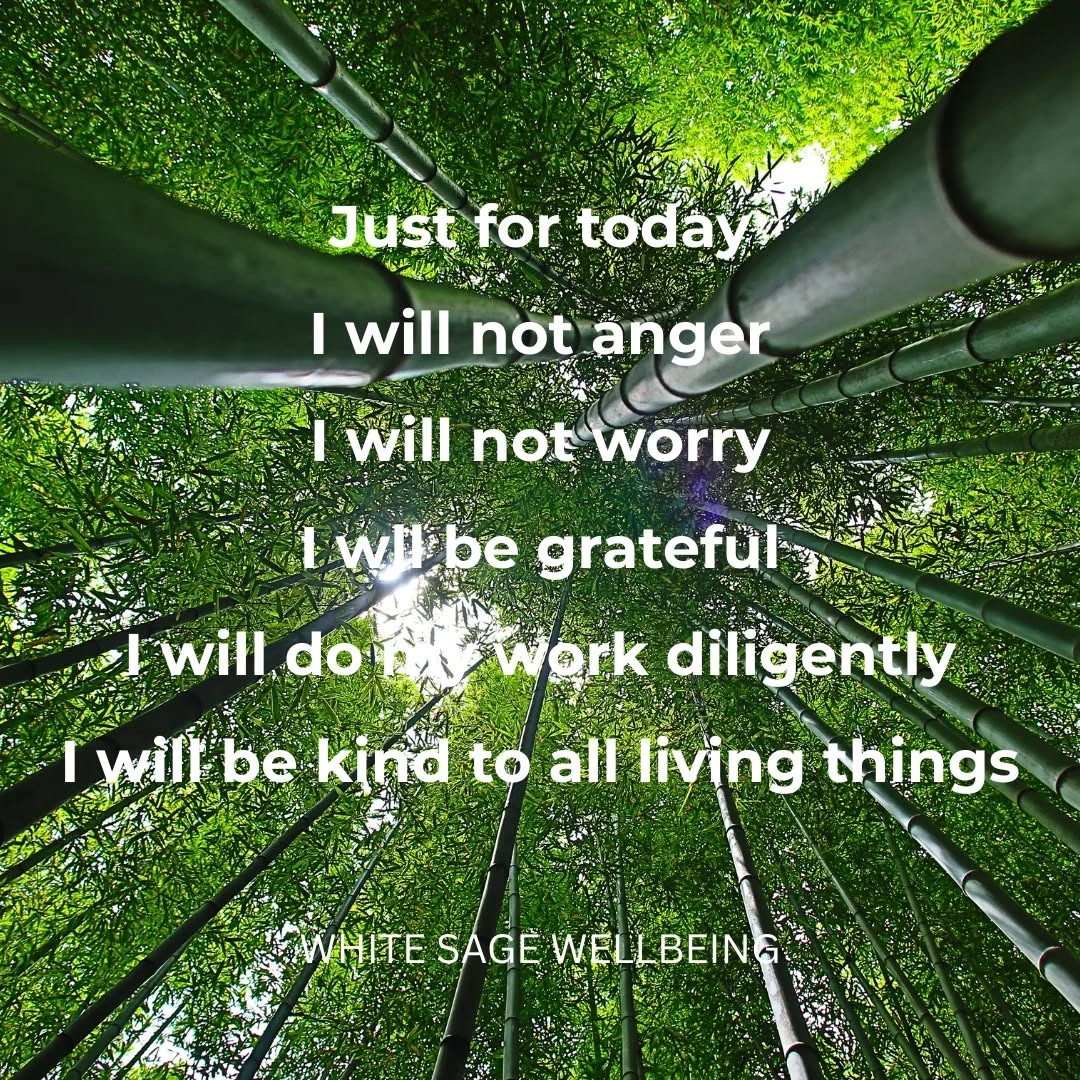 Often we read or recite these principles without really taking in the power of these simple words. Just imagine taking them to heart, breathing them, living them. That's the plan. 💚🙏🏼