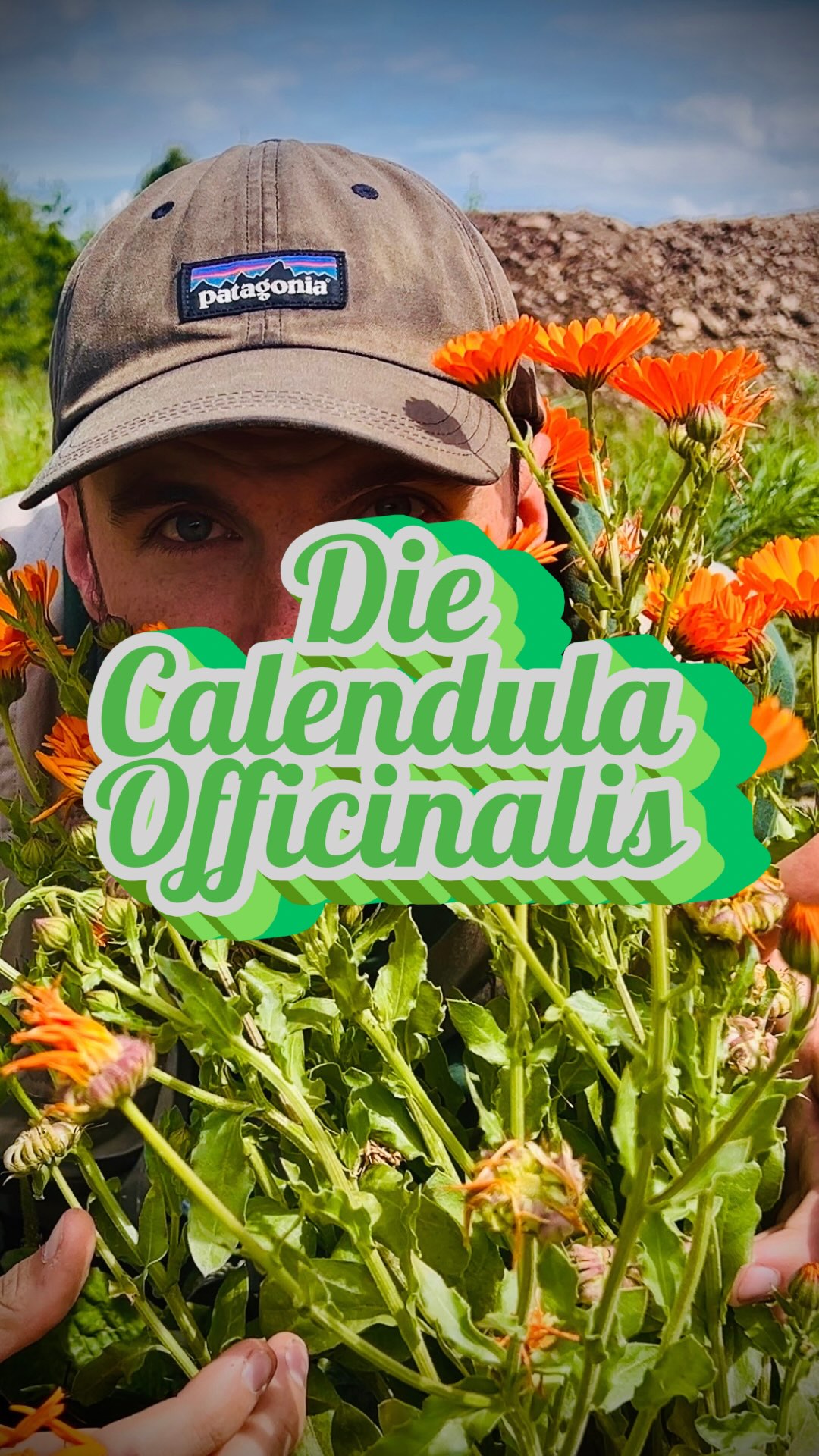 Sie sorgt für Faszination, aber auch Adrenalin. Diese Pflanze ist ein Alleskönner. Schaut jetzt ganz genau wo sie wächst. Falls ihr sie findet, dann habt ihr Glück. Nehmt sie mit und verarbeitet sie #ringelblume #calendula
Worüber willst du mehr erfahren? #freigefühl