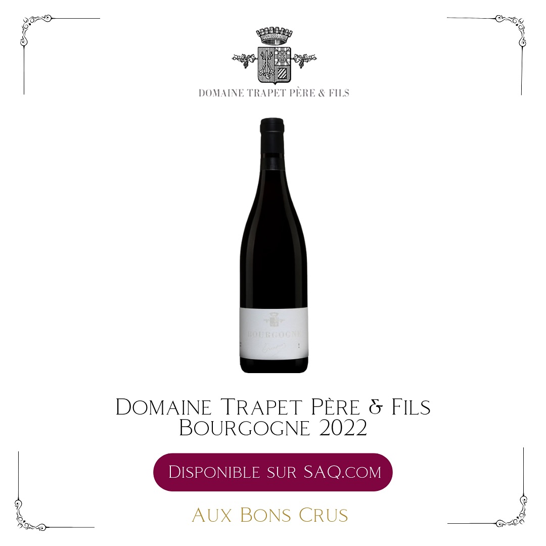 🍷Nouveauté à découvrir sur saq.com!
Domaine Trapet Père & Fils Bourgogne 2022
🍇 Pinot Noir 100 %
🍷 Cette cuvée régionale offre un profil charmeur et immédiat : cerise, prune, fumée et notes terreuses au nez. En bouche, l’attaque est charnue, fruitée et vive. Une belle entrée en matière pour découvrir le style Trapet dans un registre accessible.
⌛ À boire dès maintenant et sur 3 à 5 ans.
🍴 Cochonailles ou pâtes fraîches tomatés.