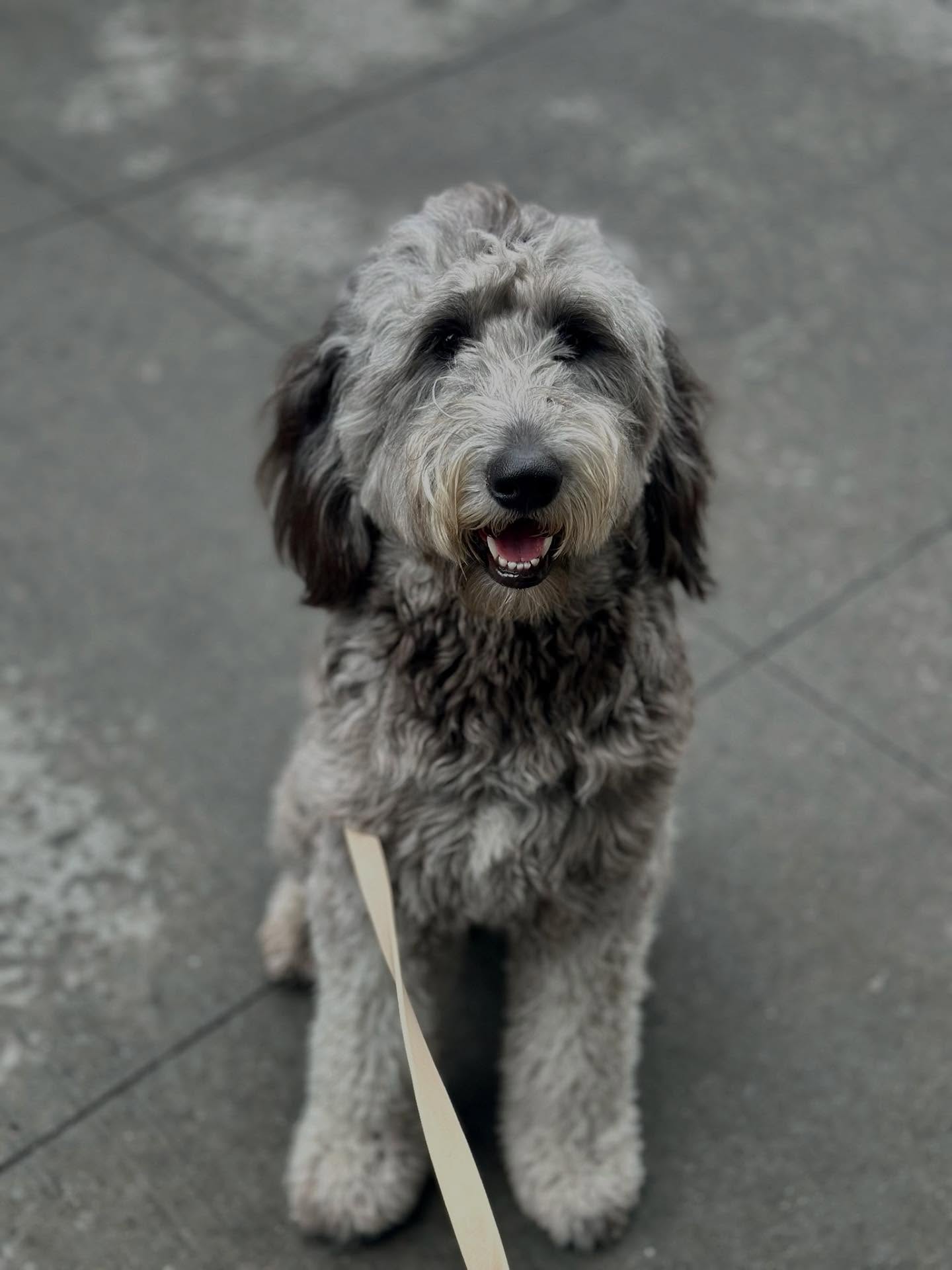 summer ready!! ๐คฉ๐๐ถ๏ธ