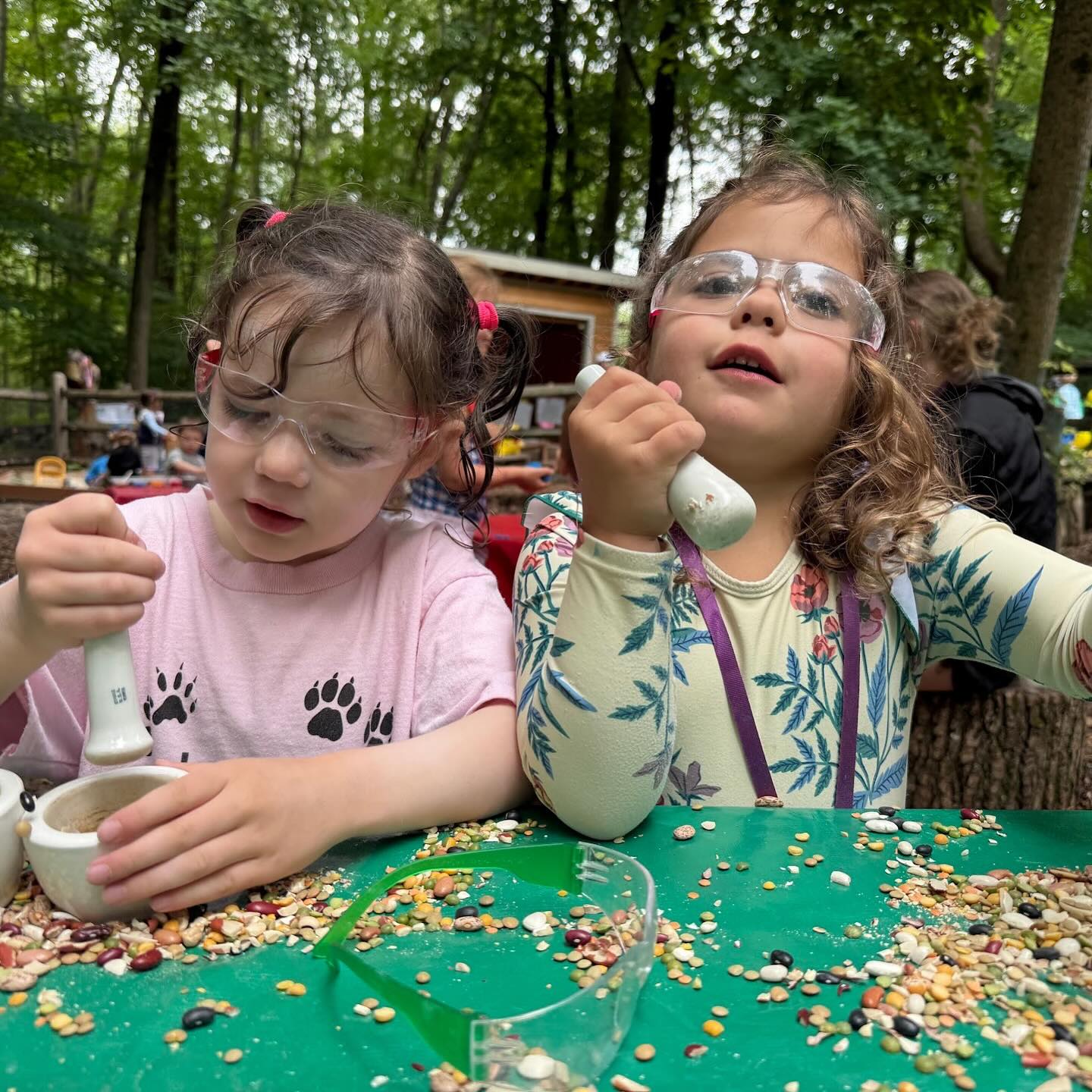 What a great start to Summer Camp 2025! Last week our youngest campers spent time learning about pollinators, gardens, fairy gardens, and the food we can grow in our own backyards! Our older campers spent time learning about using compasses, maps, and learning how to navigate in the wilderness! But all of our campers got to enjoy a visit from Spoon Circus, a traveling circus group that got all our campers movin’ and groovin’! ????? #darienct #dariennaturecenter #summercamp #naturecamp