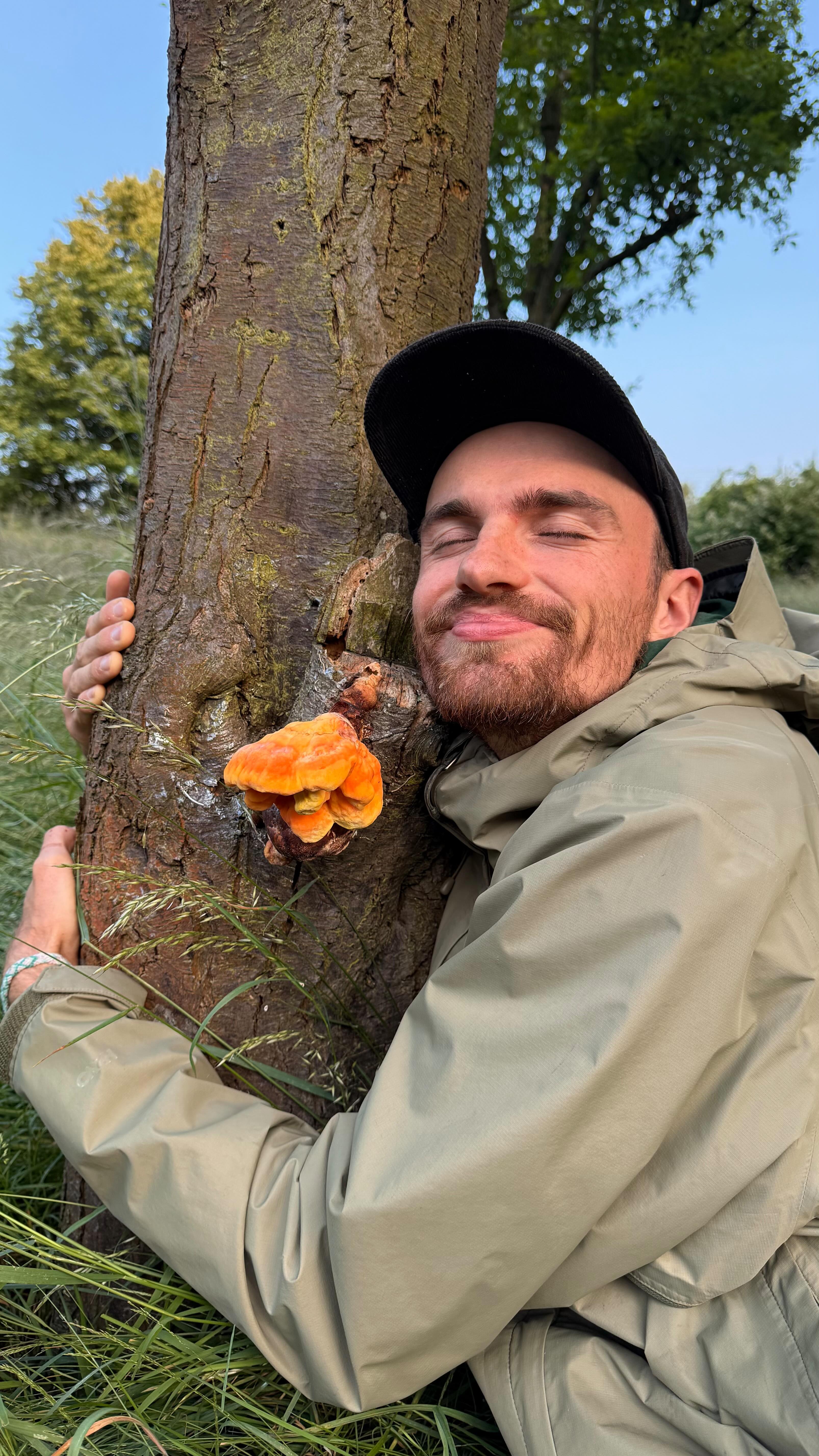 “Wilder Hähnchenersatz direkt vom Baum? Ja, das geht!”
Heute stelle ich dir den Schwefelporling aka Chicken of the Woods vor – ein genialer Wildpilz, der nicht nur aussieht wie Hühnchen, sondern auch so schmeckt! 🌳🔥
Ideal für vegane oder vegetarische Küche – aber Achtung: richtig zubereiten ist wichtig!
⸻
🍳 Mini-Rezept: Gebratener Schwefelporling
Zutaten:
– Frischer, junger Schwefelporling
– Öl oder vegane Butter
– Salz & Pfeffer
– Knoblauch (optional)
– Frischer Thymian oder Rosmarin
Zubereitung:
1. Den Pilz in dünne Streifen schneiden.
2. In heißem Öl mit etwas Knoblauch scharf anbraten.
3. Mit Salz, Pfeffer & Kräutern würzen.
4. Kurz goldbraun braten – nicht zu lange, sonst wird er zäh!
5. Optional: mit einem Spritzer Zitrone oder Sojasauce abrunden.
Perfekt als Beilage, Topping oder in Wraps & Bowls. 🥙🌿