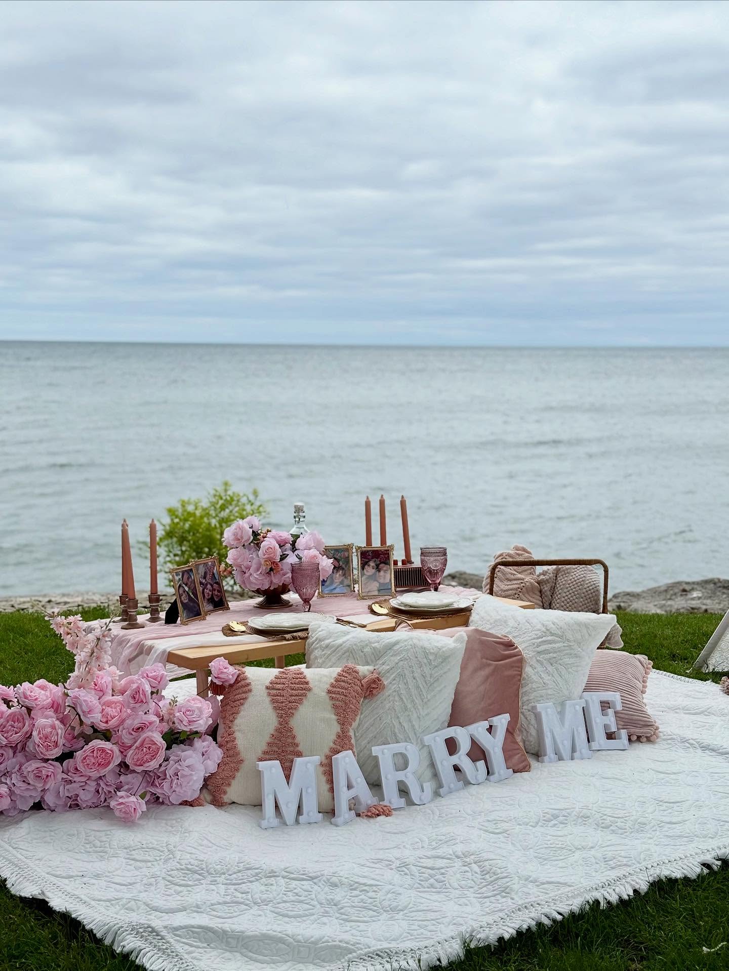 Toronto skyline view, hidden gem of a park, and a luxury picnic for your proposal; the perfect intimate setting 🧺✨
#picnicproposal #torontoluxurypicnic #pinkpicnic #marryme #proposaldecor #proposalplanner