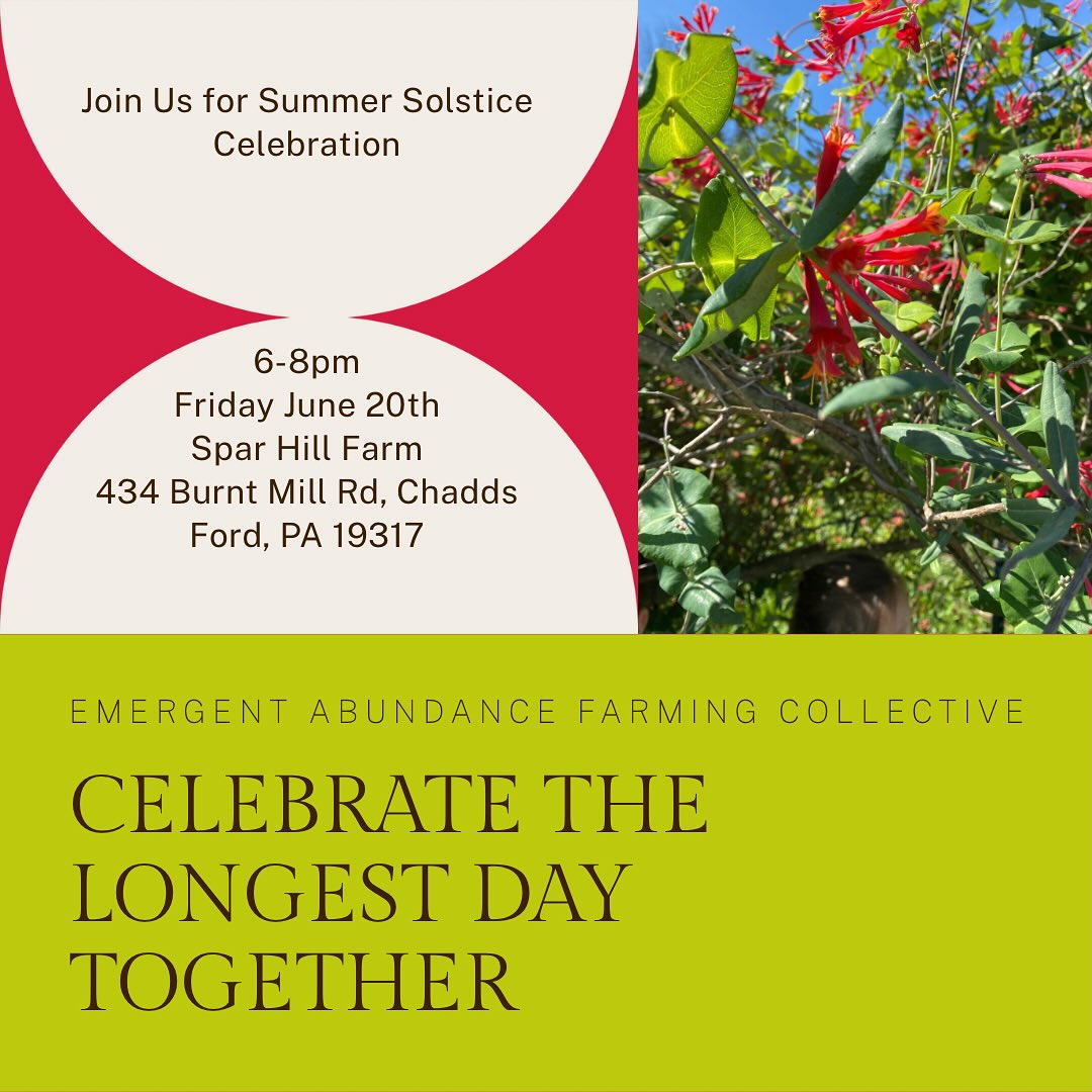 Join us at the garden to celebrate the longest day of the year! Bring friends, family, a blanket or chair to sit on, and a treat to share if you feel called.