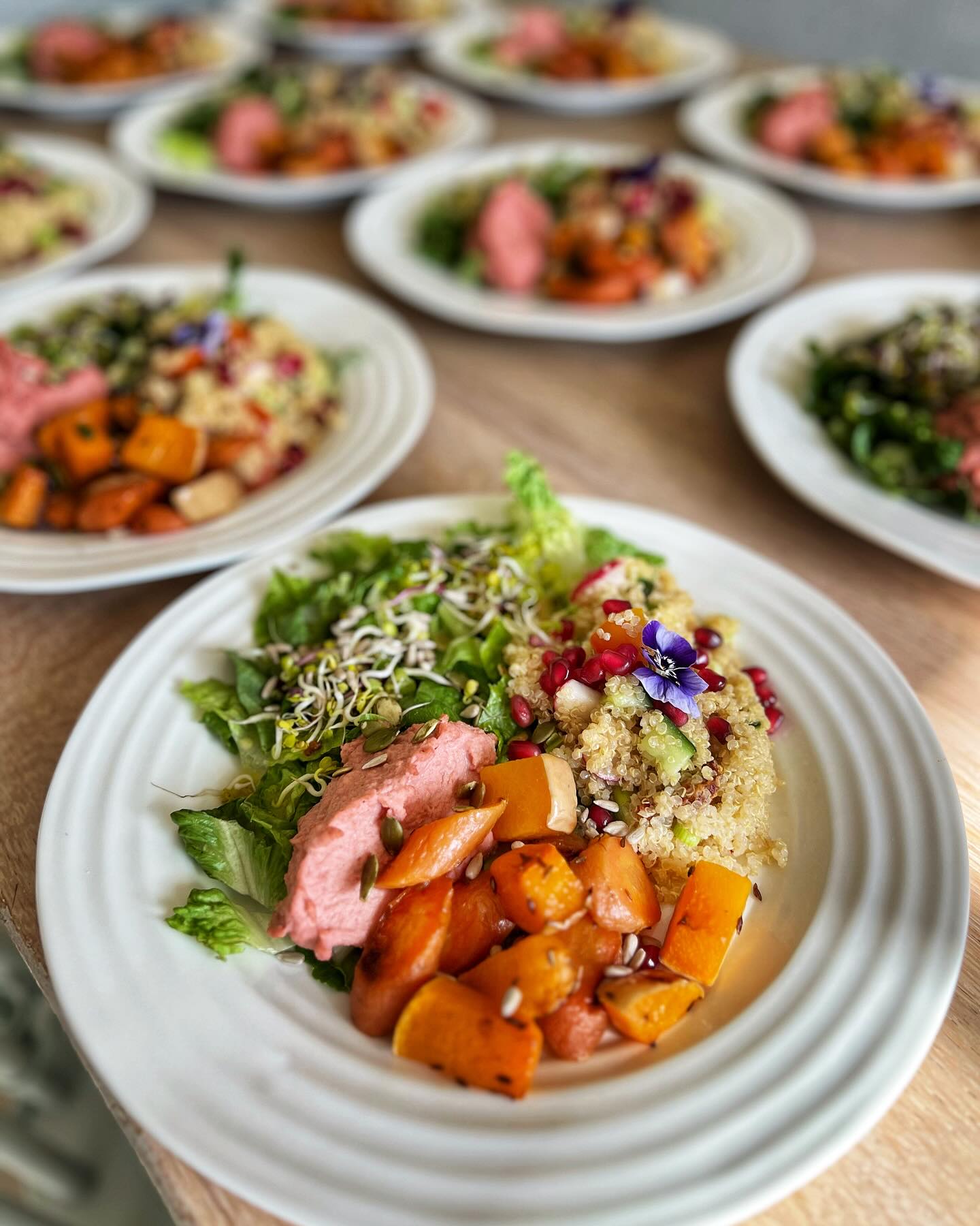 Hello! If you are new here, welcome! And if you’ve been here for a while, hello again!
It’s a rainy day here, so I thought I’d do a little introduction about myself:
I am Kirsten, a retreat chef with a passion for plants and gut health. The human body fascinates me and I love learning about its capacity for healing.
My favourite food is anything colourful - it can be anything from a Buddha bowl to a Thai curry. Give me colours, herbs & spices and I’m happy. I adore food and love making it for others.
I have aphantasia which means that I can’t visualise things in my mind - tell me to imagine a pink elephant and I see nothing.zilch.nada.
Part of my aphantasia is that I prefer reading non-fiction books. I have just finished reading @jeremyrenner ‘s book which is incredible (and I’m glad my brain doesn’t let me do the visuals, in this case).
My favourite animals are frogs, chimpanzees and dogs but I love them all really. My dog Keith who passed away last August is always in my heart and earlier this year I “adopted” a chimp called Bili who lives at @walesaperescue with his pals.
I love connecting people with each other but prefer to be in the background, watching things unfold. I’m happiest working in the kitchen, listening to the retreat guests laughing and chatting or I will be engrossed in a conversation with a friend or two. I am not a fan of small talk 🤓
This is just a little snapshot and if you want to find out a bit more, there is more information together with work testimonials etc on my website which has had a bit of a facelift.
www.eatnourishgo.co.uk - link in my bio ☺️
#retreatchef #introduction #aphantasia #eattherainbow #nonfictionbooks #animallover