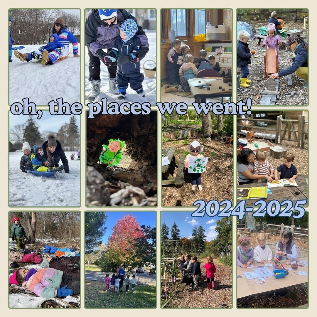 Oh the Places We Went! That’s a wrap on the 2024-2025 School Year! From all of us here at the Nature Center, thank you for such an incredible year! Next stop is Summer Camp 2025! ???⛈️??
#darienct #dariennaturecenter #natureschool #endofschool