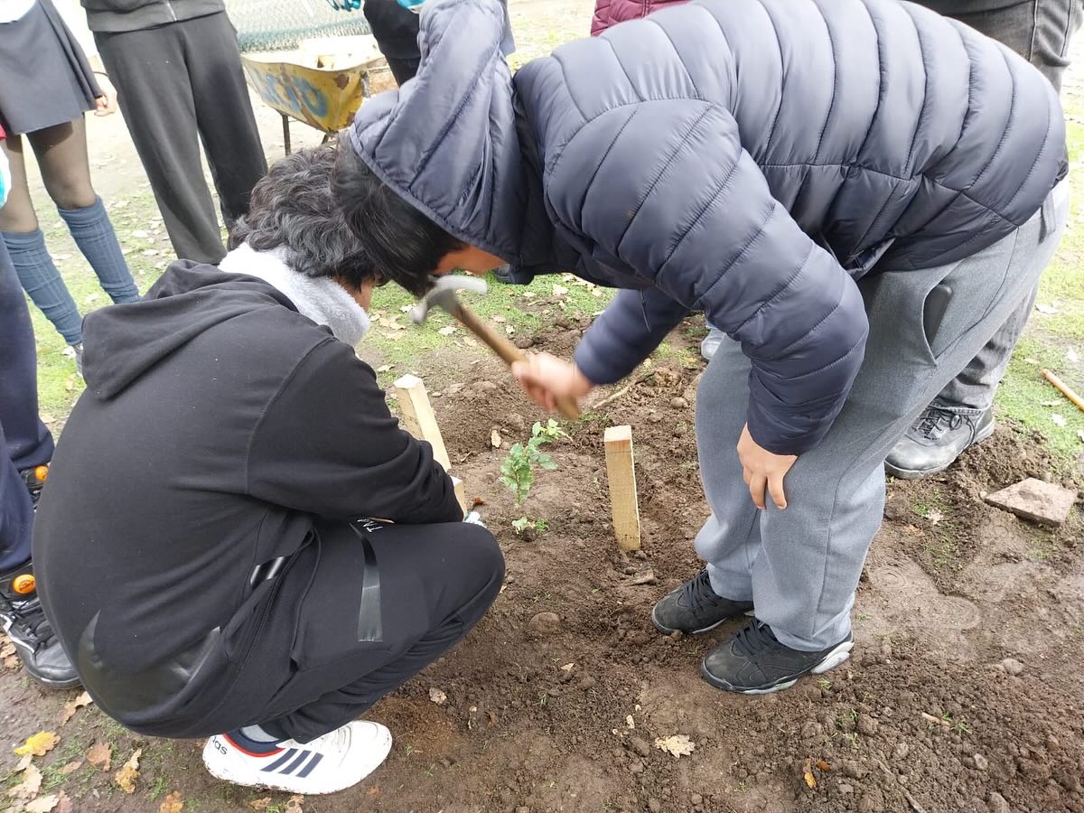 🌿✨ Proyecto Interdisciplinario – 1er semestre
👩🏫👨🏫 Estudiantes de segundo medio participaron en la plantación de árboles 🌳 endémicos, donados por Bosque de Santiago.
Una actividad central 🌱 que une asignaturas y promueve el aprendizaje con sentido, en conexión con el cuidado del medioambiente 🌎💚
#SegundosMedios #ProyectoInterdisciplinario #EducaciónAmbiental #BosqueNativo #BosqueDeSantiago #LiceoIndustrialdeRecoleta
