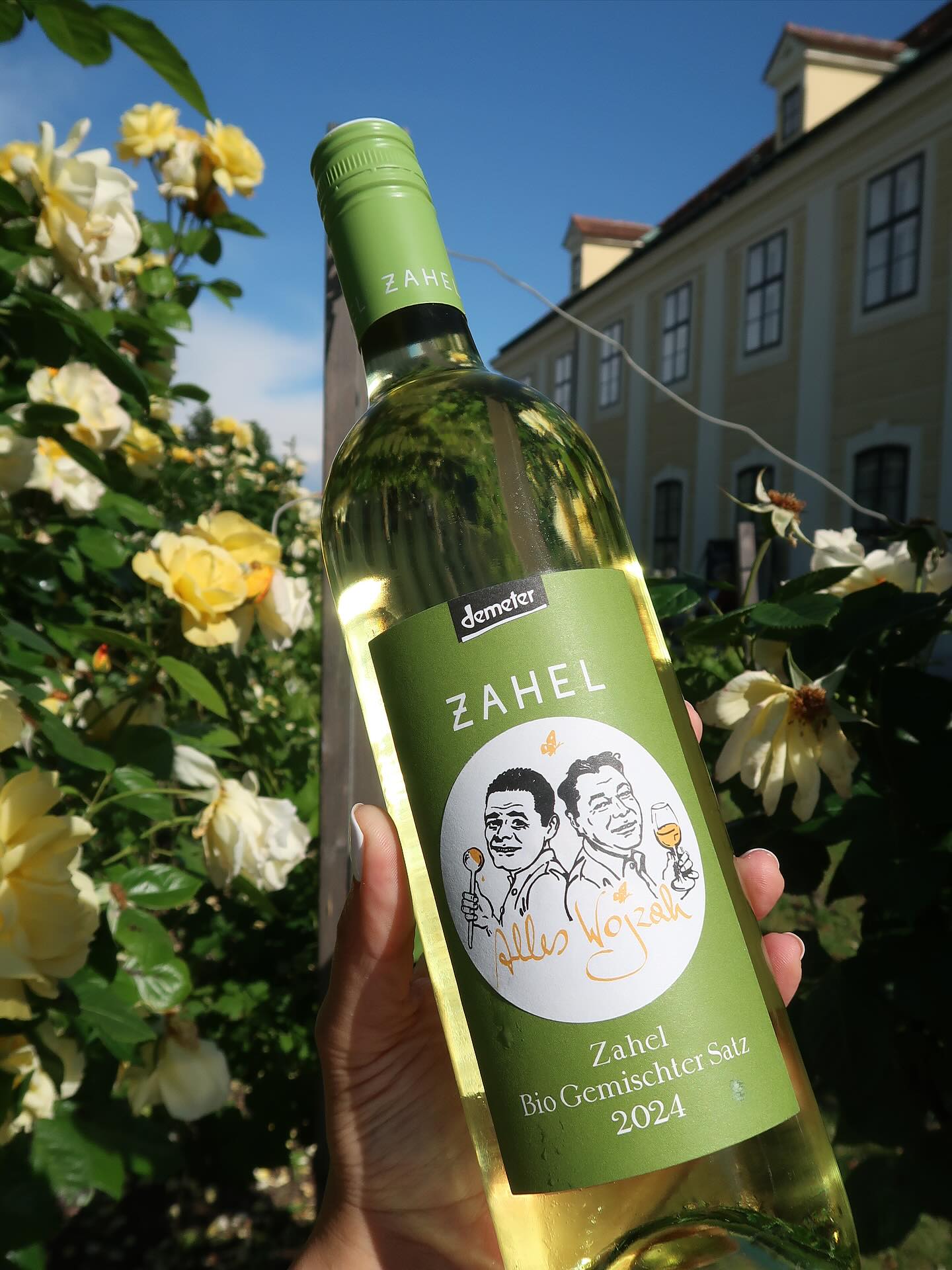 Ein echter Wiener mit Tiefgang und Charakter: Alles Wojzah by @zungenaquaplaning & @zahel_weingut. Gemischter Satz, Weinhgut Zahel, Bio Demeter 2024 - ab sofort bei uns erhältlich. 🤗🍷🍇
#SchlossSchönbrunn #Vienna #VisitVienna #VisitSchlossSchönbrunn
#Joseph2 #WienGenießen #Restaurant #RestaurantWien #Wien #Vienna #FoodGuideVienna #Foodguide #WienerKüche #visitVienna #SHIGroup #Wein #WienerWein #ZahelWein #LokaleWien