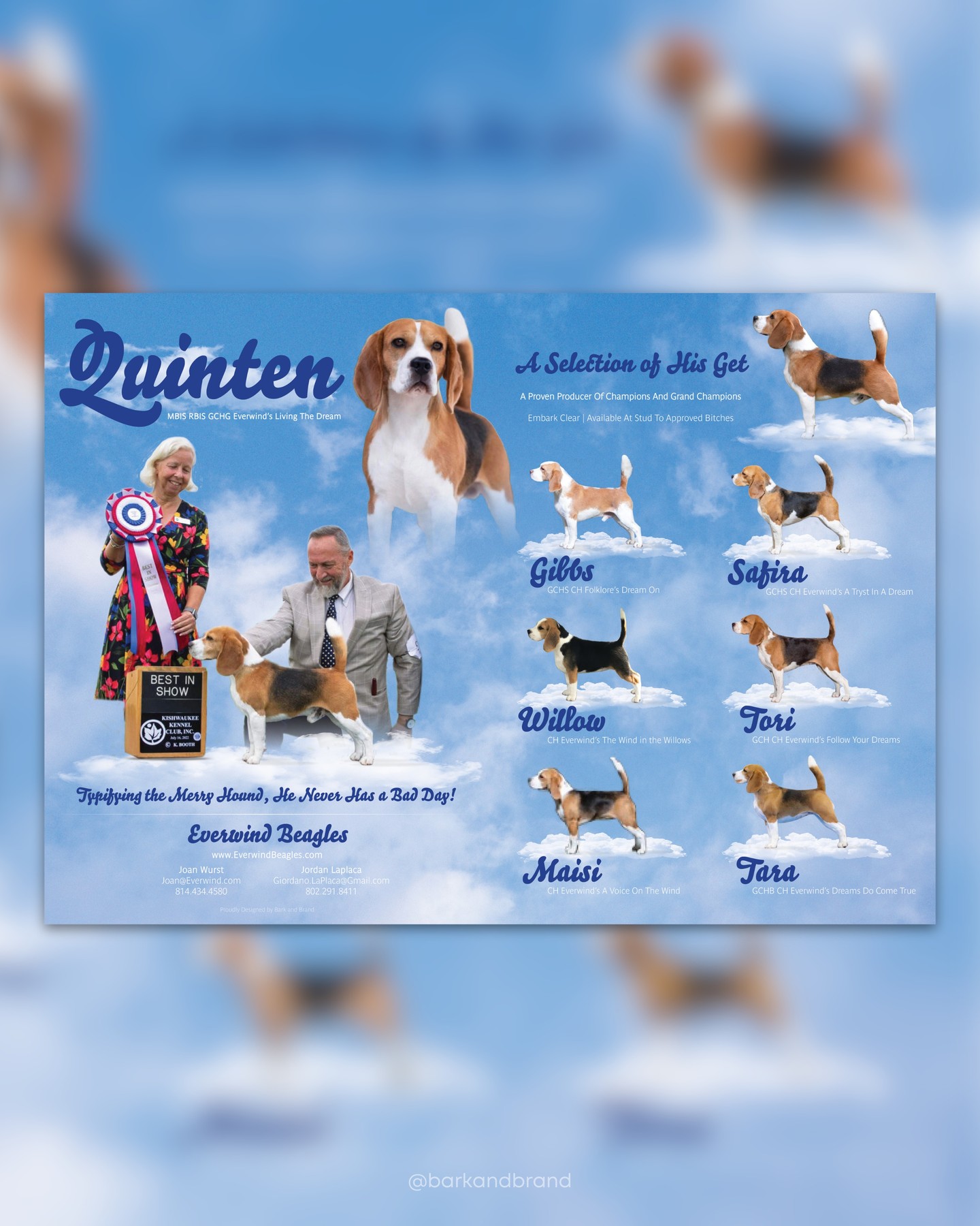 Quinten ☁️💫
We loved creating this dreamy ad for such a dreamy stud! Thank you, Joan, for collaborating with us to celebrate the many accomplishments of Quinten and his get. We love how this came out in the end!
Interested in an ad design to show off your stud? Let's chat! DM or email us at BarkNBrand@gmail.com