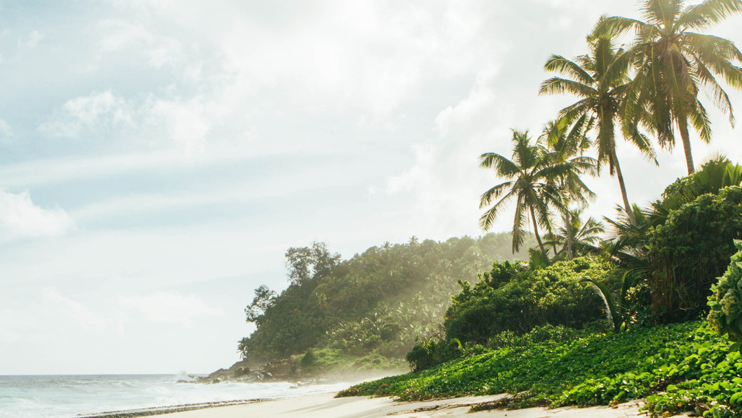 Happy Social Media Day! 🎉✨ Connect with Tobago Bay on social media and stay updated on our latest performances and events. Let’s make some noise together! 🎶🌟 Don't miss out—follow us and join the fun! Link in bio. #TobagoBay #SocialMediaDay #ConnectWithUs #LiveMusic #Events #FunTimes #Community #CelebrateTogether #LetsConnect #TobagoVibes