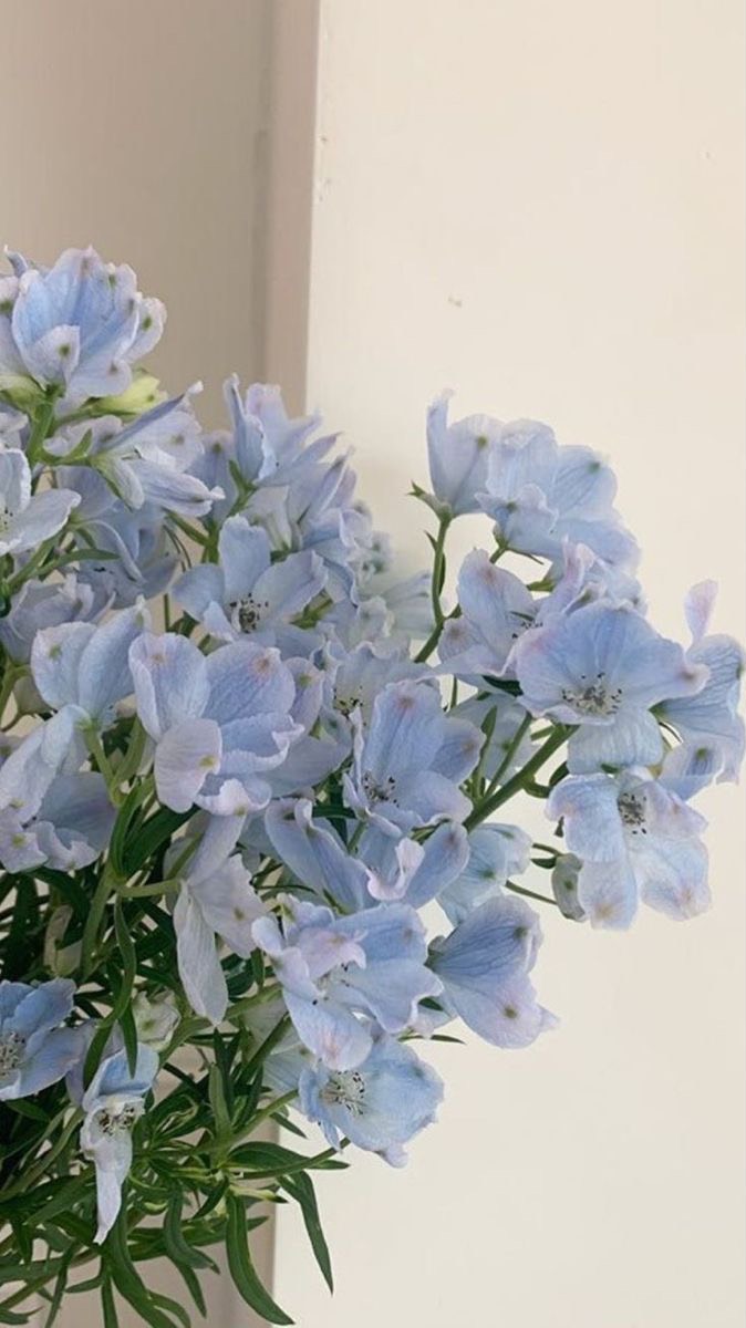 What an entrance 🔥 
I was setting up for the drinks reception, and all of a sudden I saw the bride jump onto the back of a motorbike on her way to make her entrance for the ceremony! The little wave at the end is everything!
Thank you @amandabacs & Tom for having me. I loved performing for the drinks reception alongside the sax, absolute vibes all day!
#weddingsinger #weddingsingeruk #welshsinger #weddingmusic #weddingvenueuk #weddingentertainment #weddinginspo #welshwedding #weddingvenue