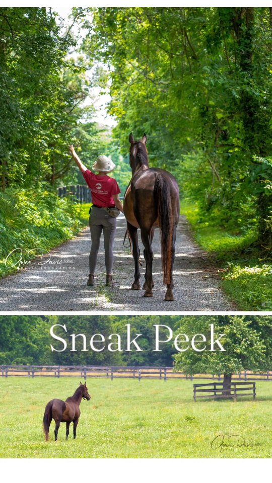 Some preview photos of a very special arrival @secondstride... stay tuned!