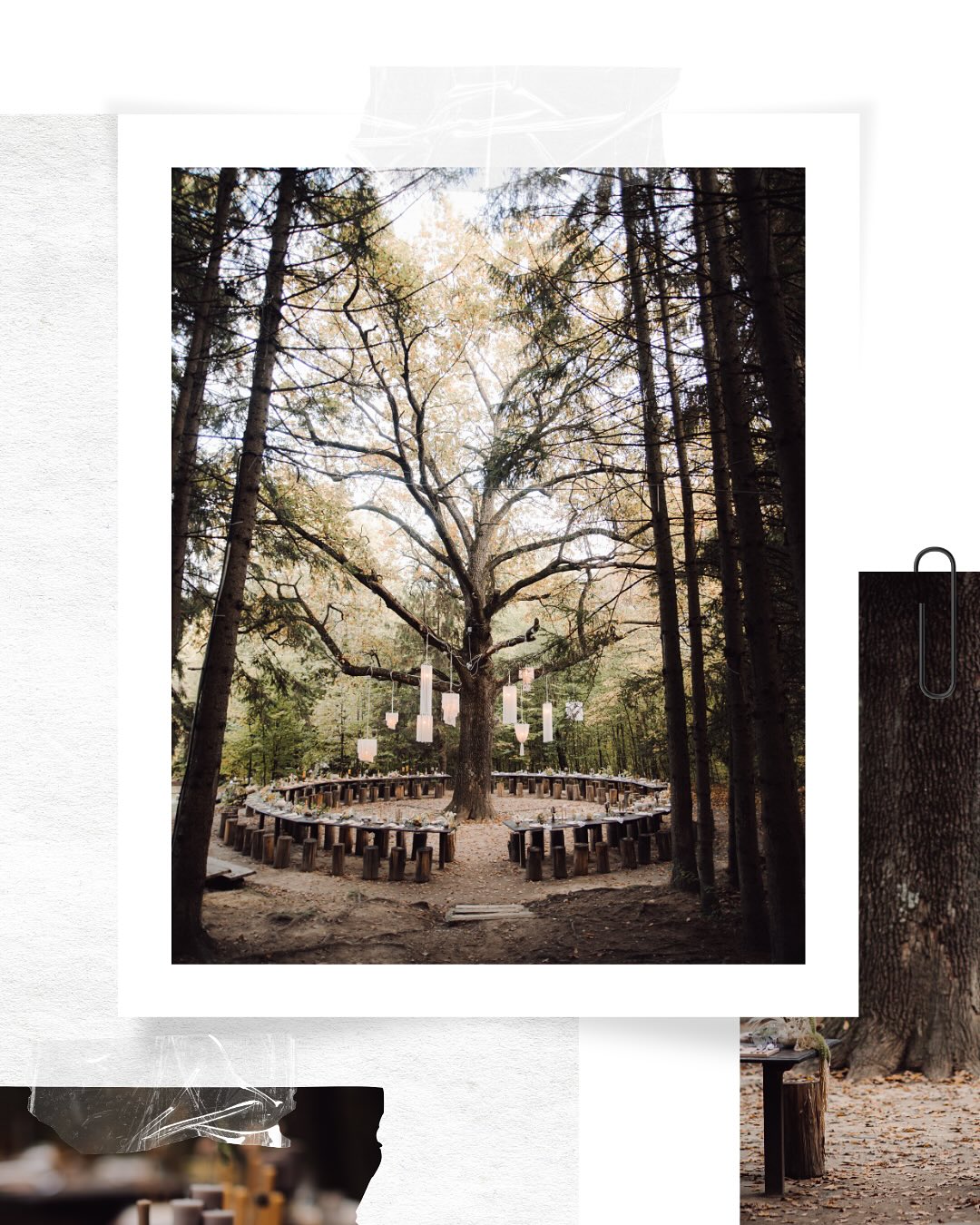 Vanaf nu biedt Weddingplanners International twee krachtige trajecten:
? *Jaaropleiding Wedding Planner & Business-Skills
? Wedding Planner VIP traject
Voor vrouwen die niet ‘gewoon even iets leuks’ willen leren, maar een professioneel bedrijf willen bouwen in een veeleisende branche.
Want laten we eerlijk zijn:
- Dit is geen cursusje.
- Dit is een transformatie.
Wij leiden je niet op voor een hobby.
Wij leiden je op voor een carrière.
Voor impact. Voor vrijheid. Voor winst.
? Deelnemers die al gestart zijn, volgen hun vertrouwde opleiding.
Maar vanaf vandaag is het helder: wij zetten de lat hoger.
Ben jij er klaar voor?
? Ontdek het nieuwe aanbod via de link in bio. *laatste startplaatsen.