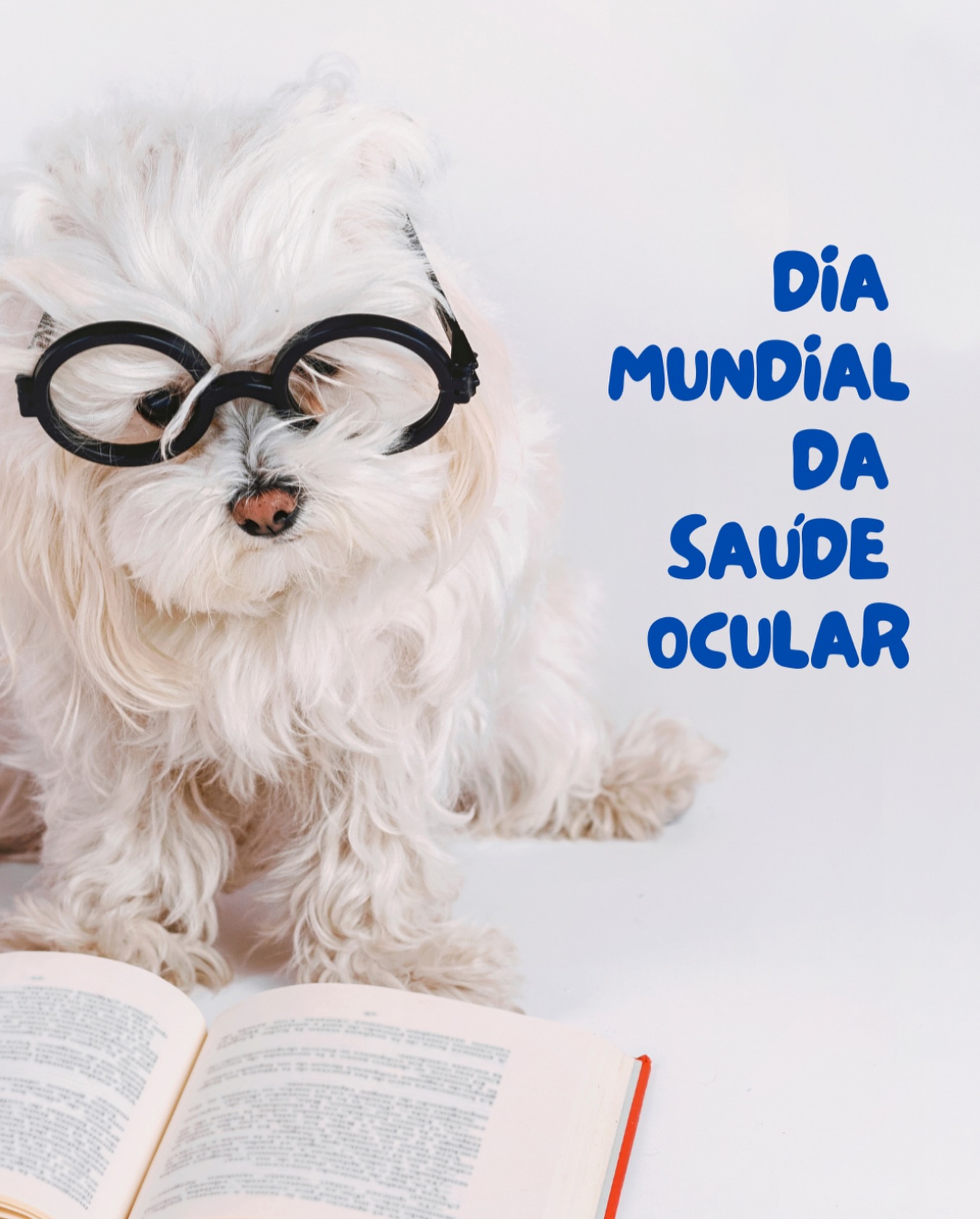 Dia Mundial da Saúde Ocular também é sobre os nossos pets!
Você sabia que os cães e gatos também podem desenvolver problemas de visão ao longo da vida? Catarata, glaucoma, úlceras de córnea, conjuntivite e até alterações causadas por diabetes são algumas das condições que afetam a saúde ocular dos animais.
No Dia Mundial da Saúde Ocular, o alerta é claro:
👉 Cuidar dos olhos dos pets é cuidar da qualidade de vida deles.
👀 Fique atento a sinais como:
• Olhos vermelhos ou lacrimejando demais
• Piscadas constantes ou sensibilidade à luz
• Secreção em excesso
• Coceira ou incômodo
• Mudança na coloração dos olhos ou dificuldade para enxergar
🐾 O diagnóstico precoce faz toda a diferença!
Agende consultas regulares com um veterinário — de preferência com um especialista em oftalmologia veterinária e não ignore qualquer sinal de desconforto.
💙 Nossos pets não conseguem falar, mas os olhos deles dizem muito. E hoje é o dia perfeito
para olhar com ainda mais carinho para quem enxerga o mundo com amor.
#petplace #cuidadopet #dicaspet #amorpet #amordemaepet #maedepet #paidepet
#cuidadospet #cachorrobrasil #cachorroolho #oftalmo