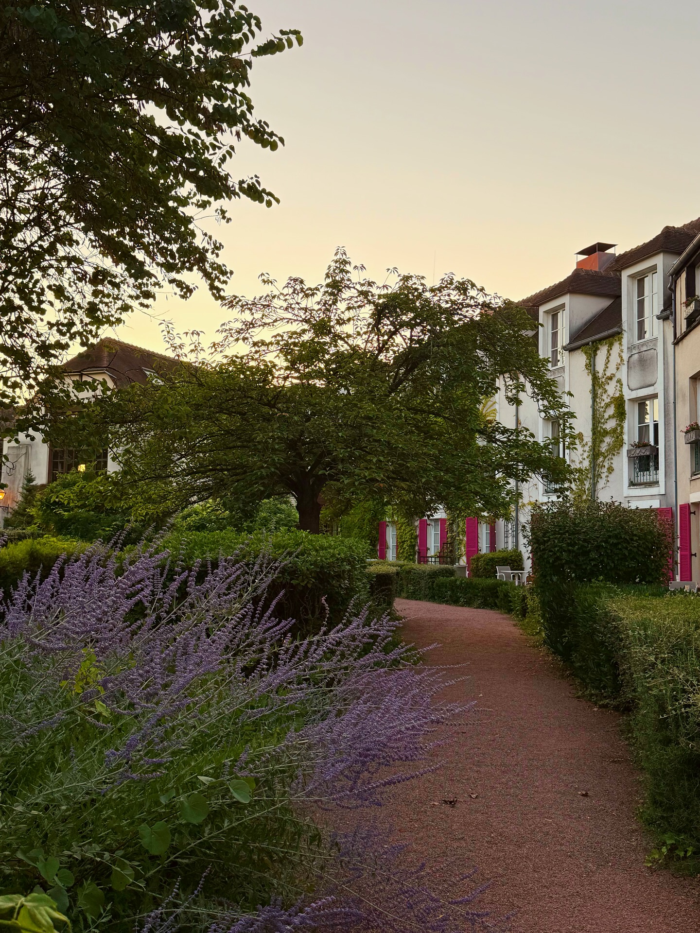 Weekend vibes 🌿🌅
#weekendvibes #aesthetictravel #staycation #eurosummer #travelinfrance #wanderlust