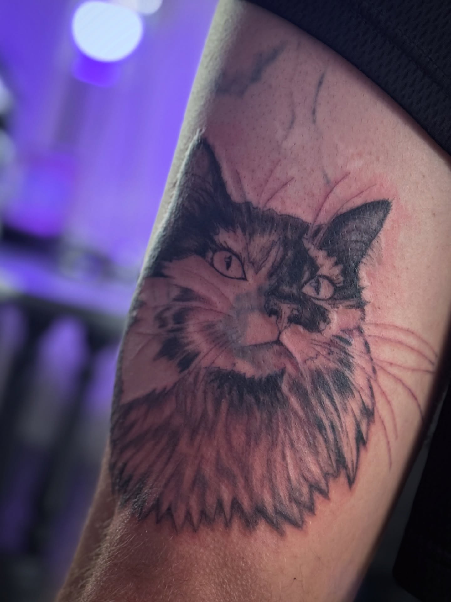 Started this cat portrait (of one of our cats) on my husband today ???
Only about halfway done
(Behind her is laser lightened tattoos of bats that we’re covering)
? VHS tape sized on thigh
??? Please LIKE, COMMENT, & SHARE - your friends might want to discover me ??
? Book yours at TattooNeonMoon.com
