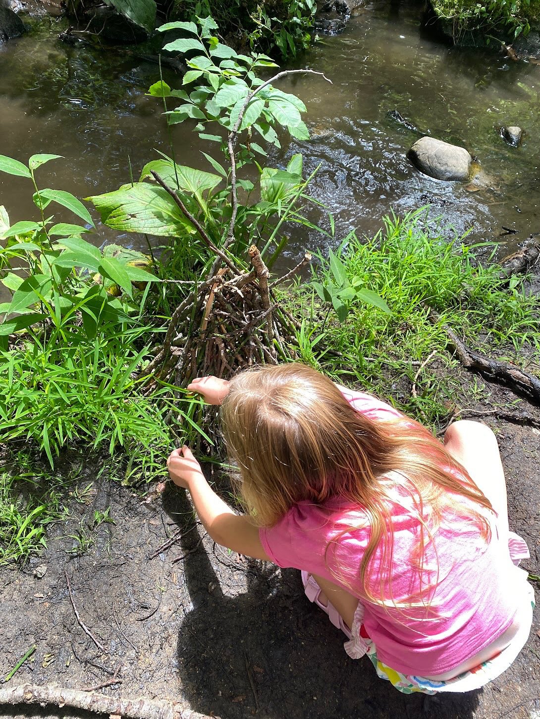 Week 3 of Summer Camp was all about learning how to be a Nature Detective for Our Living Planet campers! Our eco-explorers spent time learning about gardens and how to grow your own food! ????? #darienct #dariennaturecenter #summercamp25