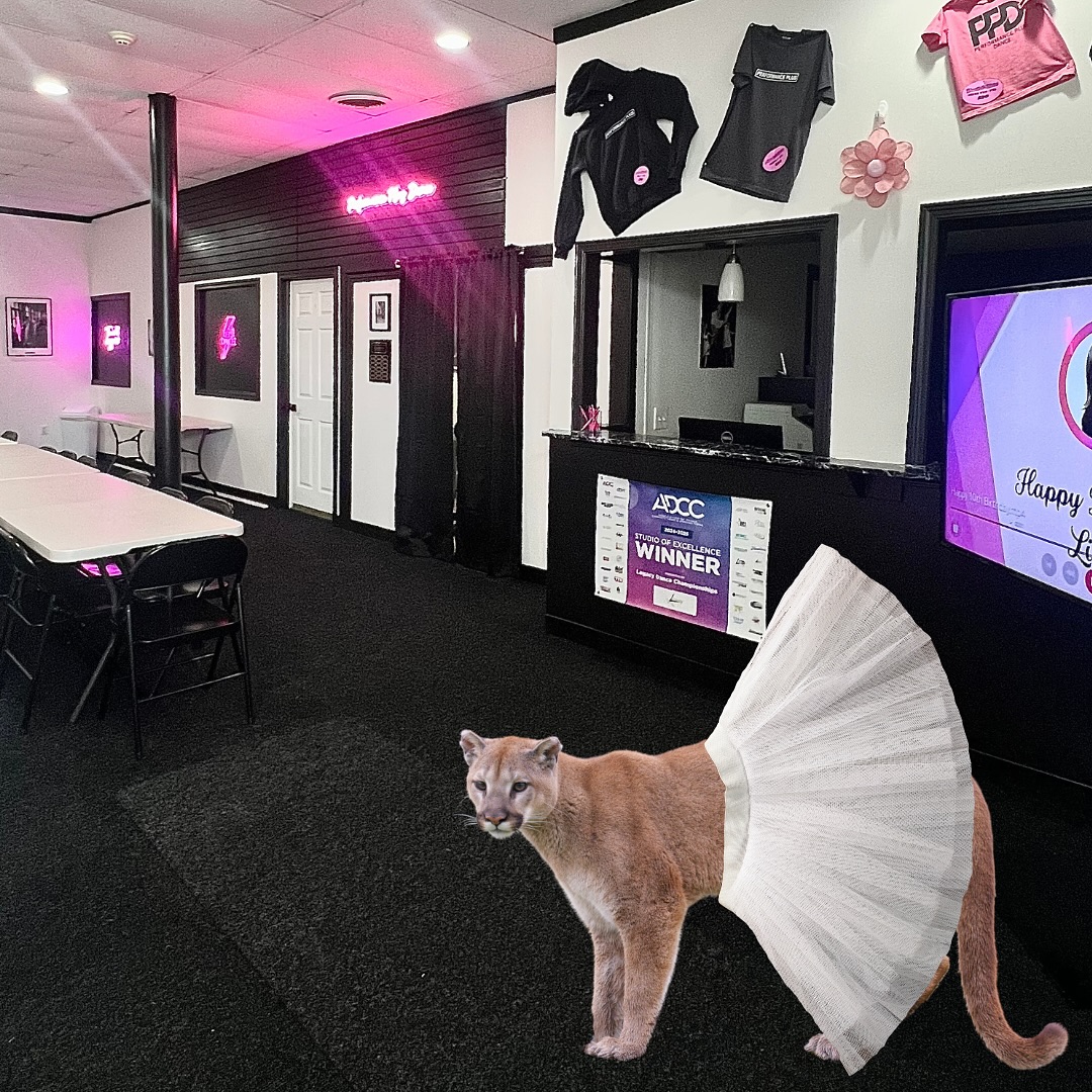 Everyone’s going WILD over our Summer Camps that start on Monday! 🤣🤩 #rochesterny #mountainlion #rochestermountainlion