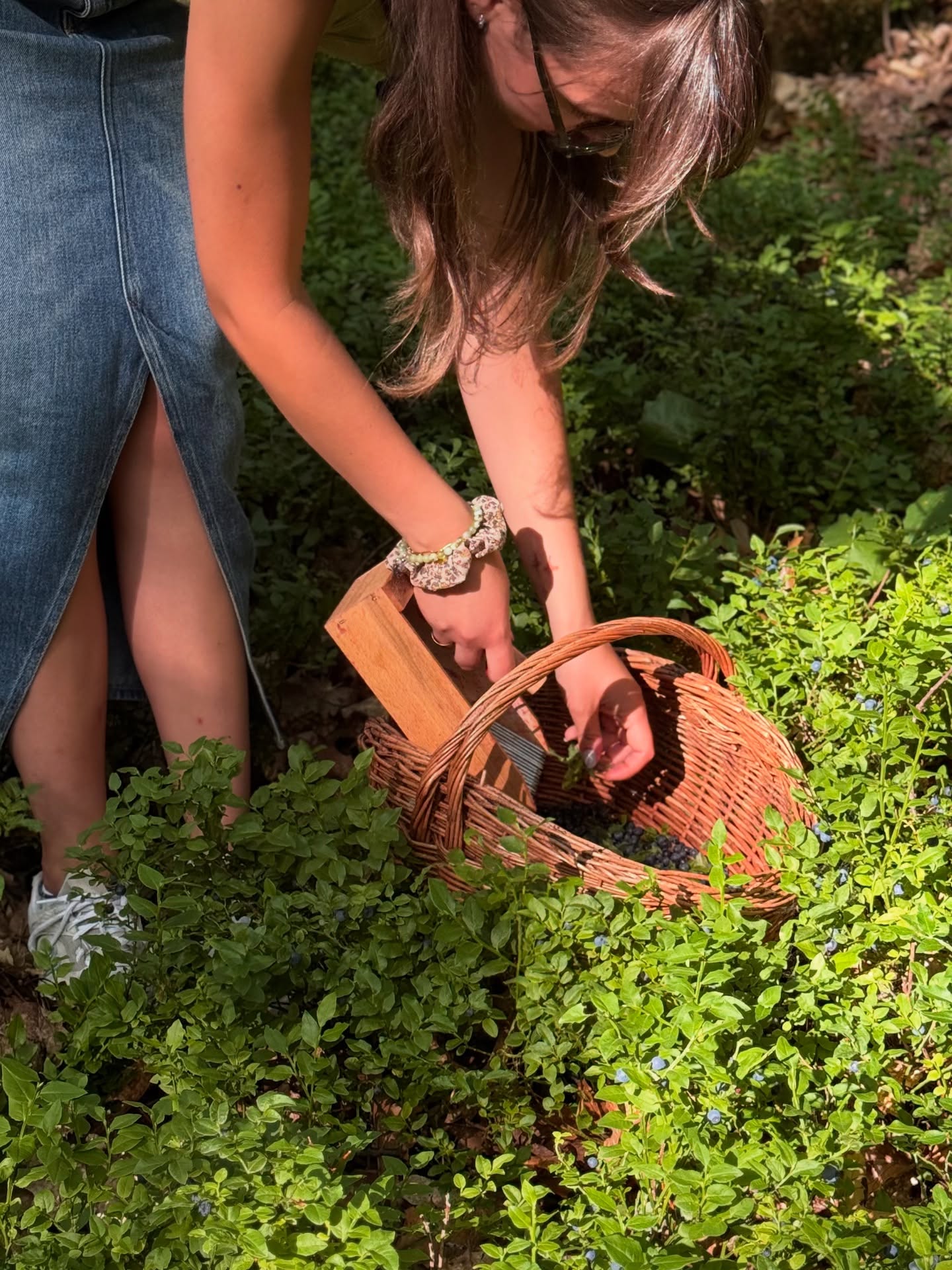 Und hier wieder wie versprochen zu unserer neuen Podcast Folge die passenden Bilder von unserem Blaubär Ausflug 🧿🌱🌿🌞
schaut auf Spotify vorbei, der neue Podcast ist jetzt online !