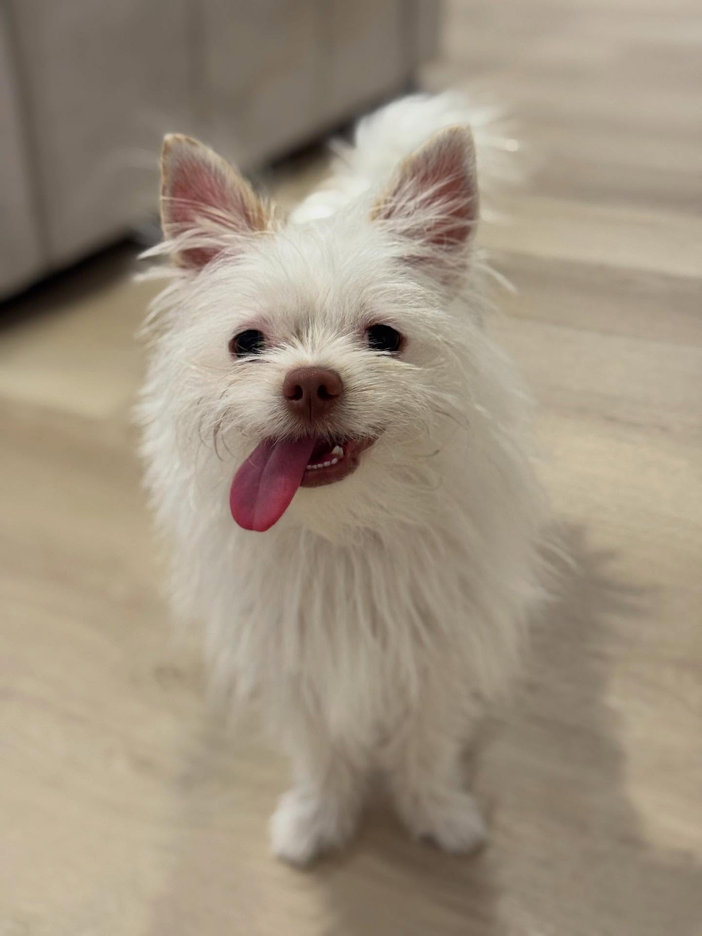 Our sassy fairy princess fashionista, Anya!!! ๐๐๐ธ๐๐๐