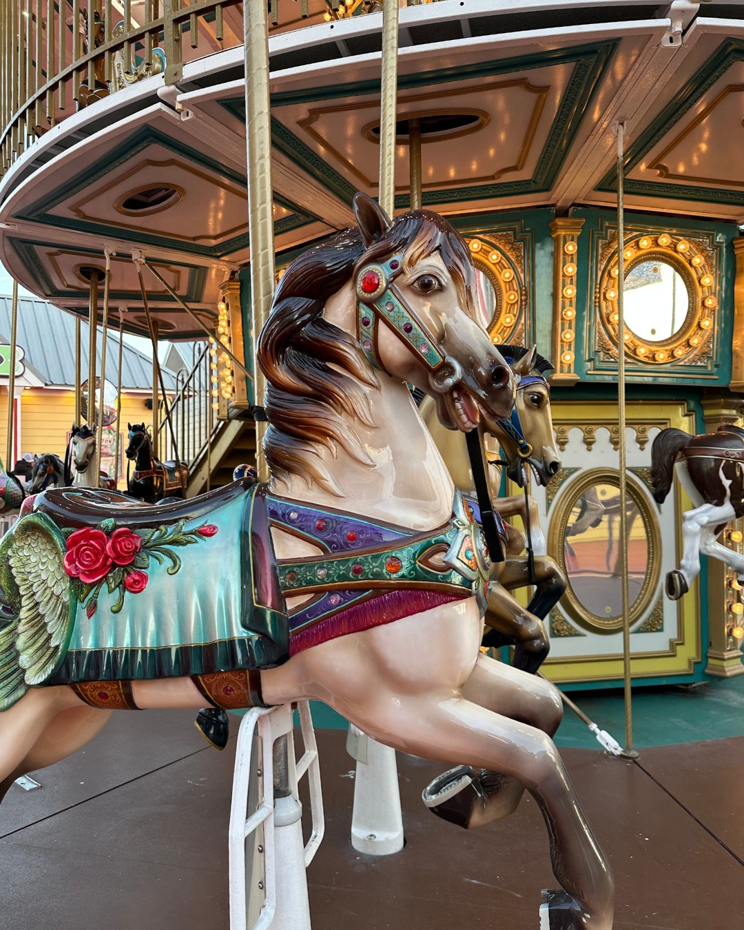 Take a spin around the Carousel and let's ride the post weekend blues away ?
