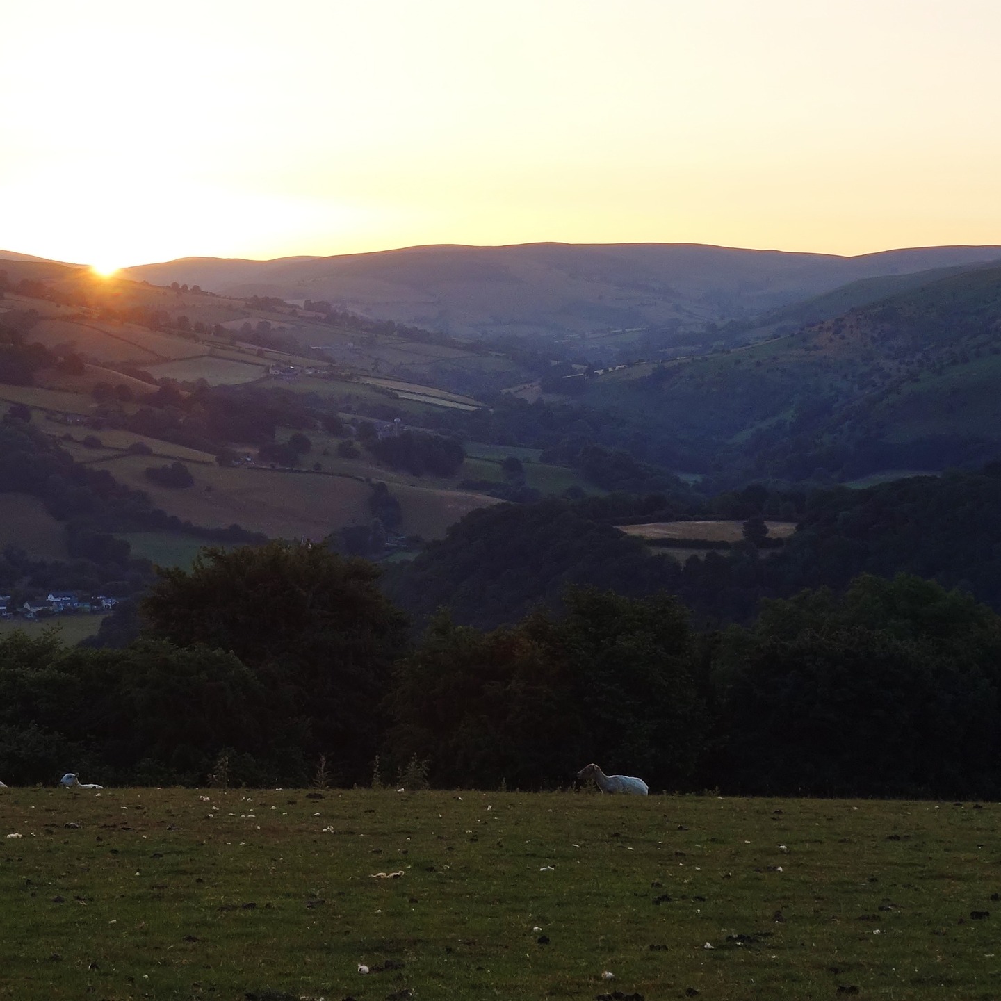 The Edw Valley at sunrise. The River Edw that flows through it starts on the slopes of Llandegley Rocks and enters the Wye at Aberedw. On the right is Llandeilo Hill and Aberedw Rocks, and on the left Aberedw Hill. I love this valley, especially at this time of day, from the other side of the Wye on the Wye Valley Walk. It's worth timing your walk if in the area to get this special moment in. Mid Wales can be epic. #edw #wyevalley #wyevalleywalk #valleyview #midwales #naturetones #walescollective