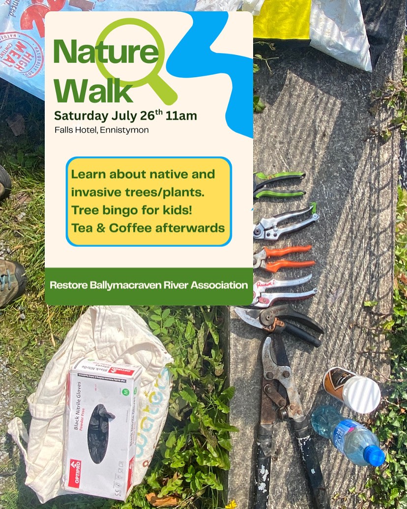 Take a look at some of the lovely pictures taken at our Nature Walk last Saturday.
Our group was small but mighty! Both the tackling of cherry laurel and the conquering of tree bingo were achieved before a lovely cup of tea at the Falls Hotel.
Hopefully we will see you all at upcoming events this Autumn. 🍃🍃