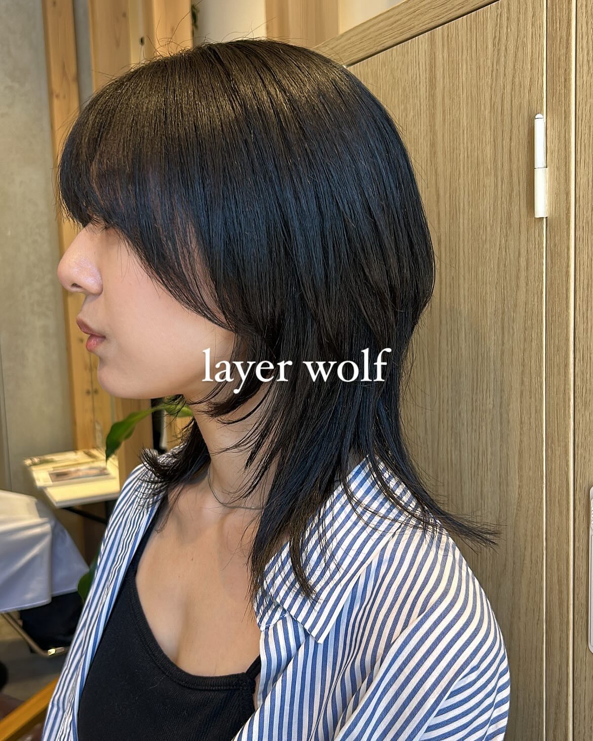 男女問わず人気のウルフスタイル🐺✂︎
.
顔周りからレイヤーを入れることにより首が長く見え、小顔に✨
.
#レイヤー #レイヤーウルフ #ウルフ #ウルフレイヤー #レイヤーカット #顔周りレイヤー #フェイスレイヤー #韓国ヘア #ウルフ女子 #ウルフ男子 #ウルフカットメンズ #y2k #府中 #府中美容室 #府中着付け