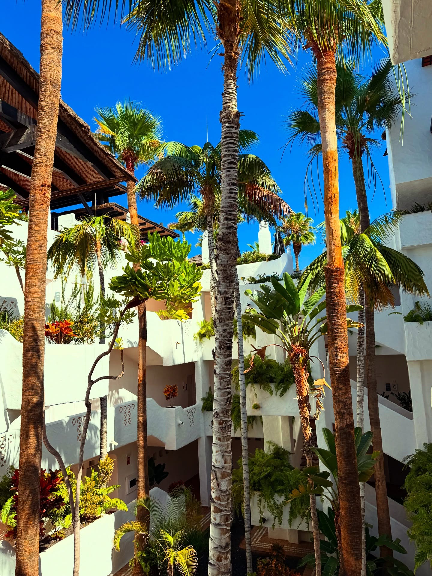 August Moments 🌸🌞