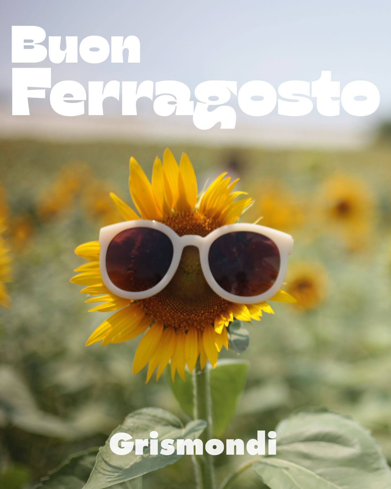 ☀️ Buon Ferragosto a tutti!
Oggi il negozio resterà chiuso per festeggiare insieme alle nostre famiglie e agli amici.
Ci vediamo domani con tanti sconti e nuove occasioni! ?
#grismondicalzature #buonferragosto #ferragosto2025 #festadestate #shoppingbergamo #scarpe