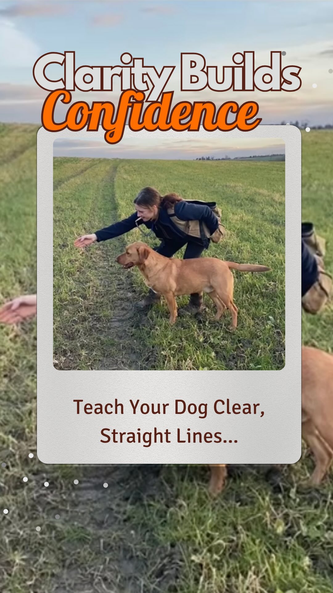 Lining out: don’t rush the straight lines
Teaching your dog to run a straight line isn’t just a test of obedience — it’s a test of clarity, trust, confidence & how well you’ve layered your training.
If your dog arcs, veers off, or loses momentum, it’s rarely because they’re being “naughty.” More likely, the picture’s unclear.
Set up clear, visual lines to begin with — short, straight, no distractions. Using Marker dummies such as the ones from @sportingsaint or @akgundogaccessories with the white tops, for them to really pop out on the grass.
Use natural corridors (hedges, fence lines) to help them succeed.
Mark, reward, and gradually increase the distance.
Lining is a dialogue.
Are they listening?
Are you clear?
Are they motivated?
Start short. Stay sharp. Finish strong.
Save this for your next field session — this one’s for the detail-lovers.